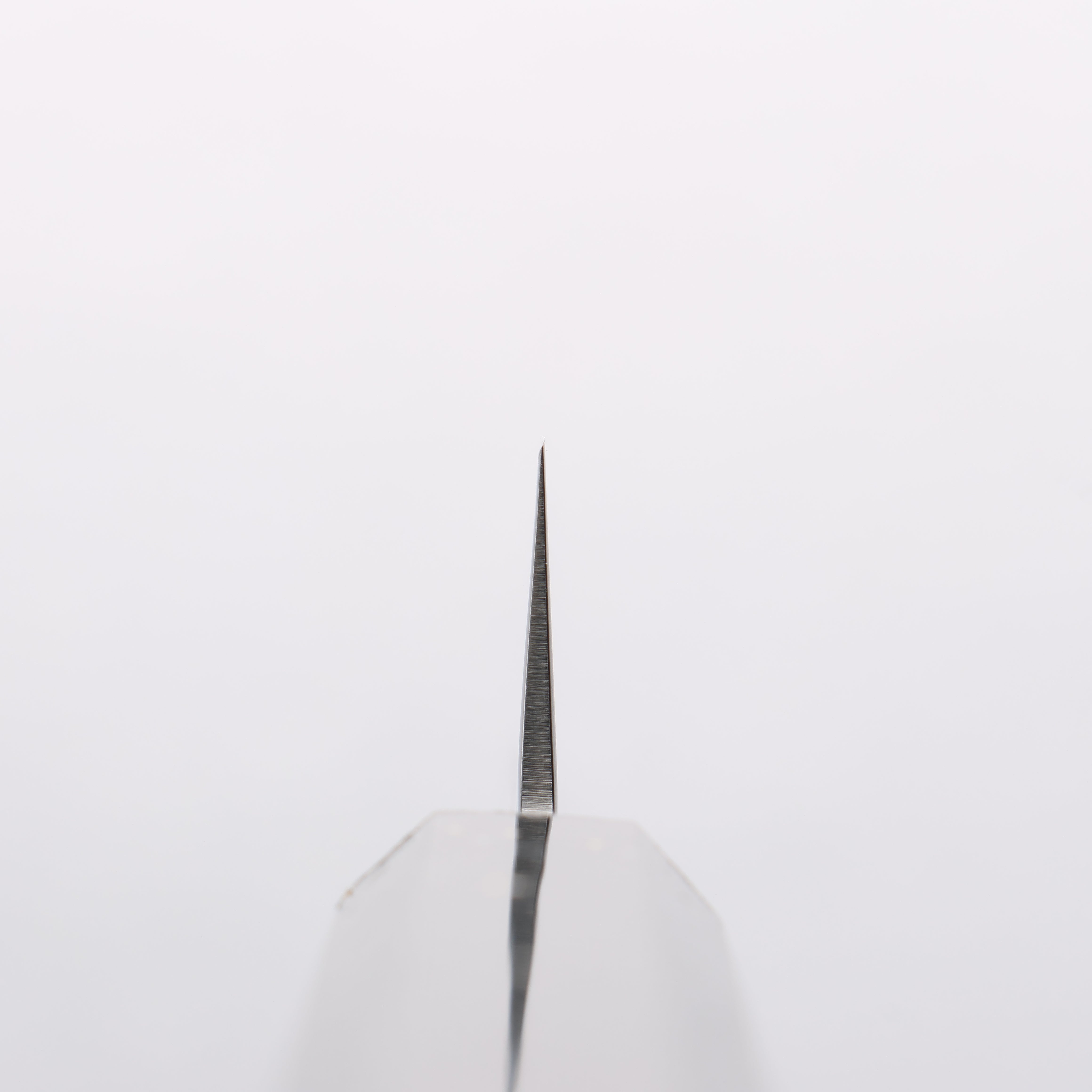 Sakai Takayuki VG10 33 Layer Damascus Sujihiki 240mm Live oak Lacquered (Saiu) Handle - Japanny - Best Japanese Knife