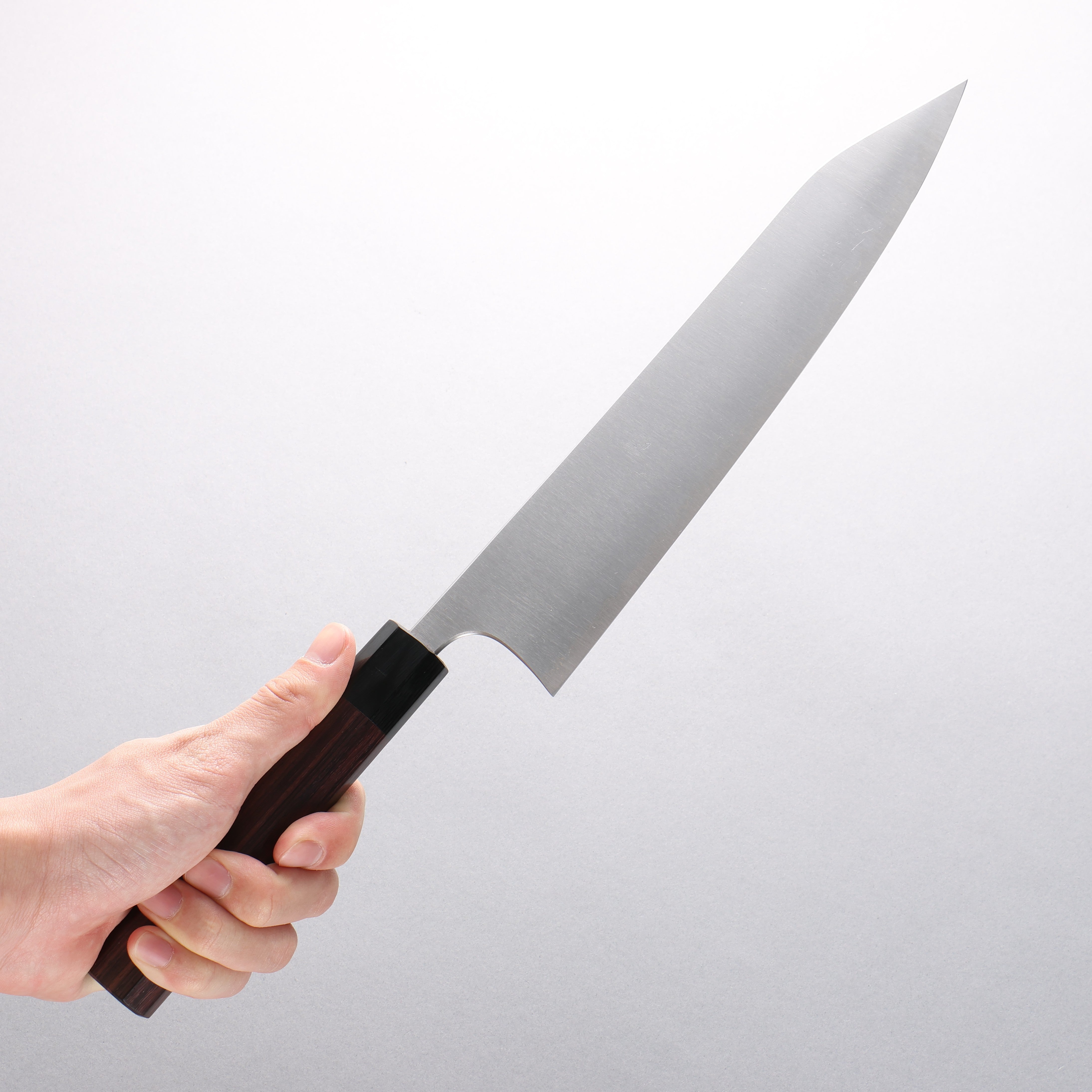 Shibata Takayuki Koutetsu Blue Super Gyuto 240mm Rosewood (Ferrule: Black Pakka Wood) Handle - Japanny - Best Japanese Knife