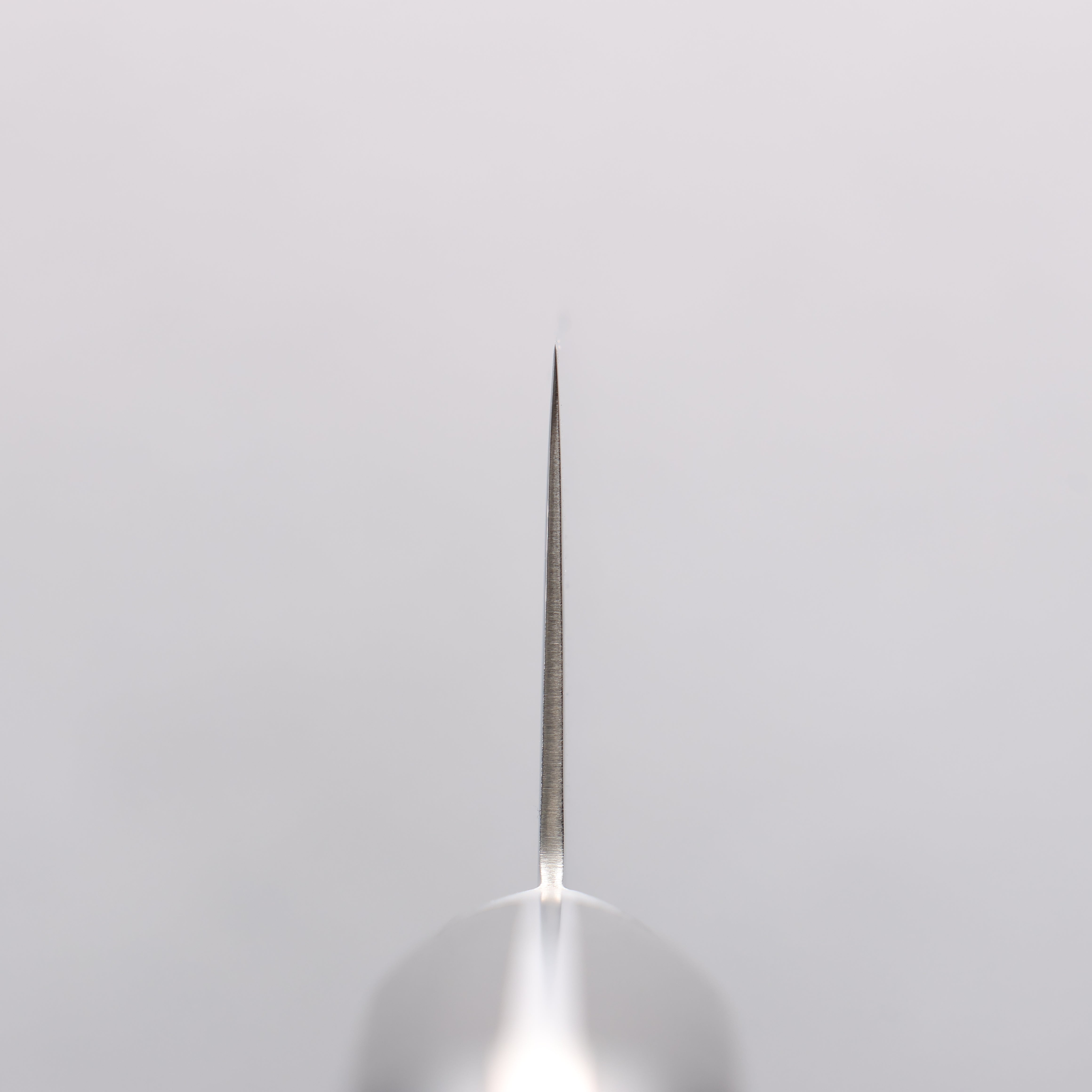 Seisuke Kagami2 AUS10 Mirrored Finish Damascus Gyuto 210mm Black Pakka wood Handle - Japanny - Best Japanese Knife