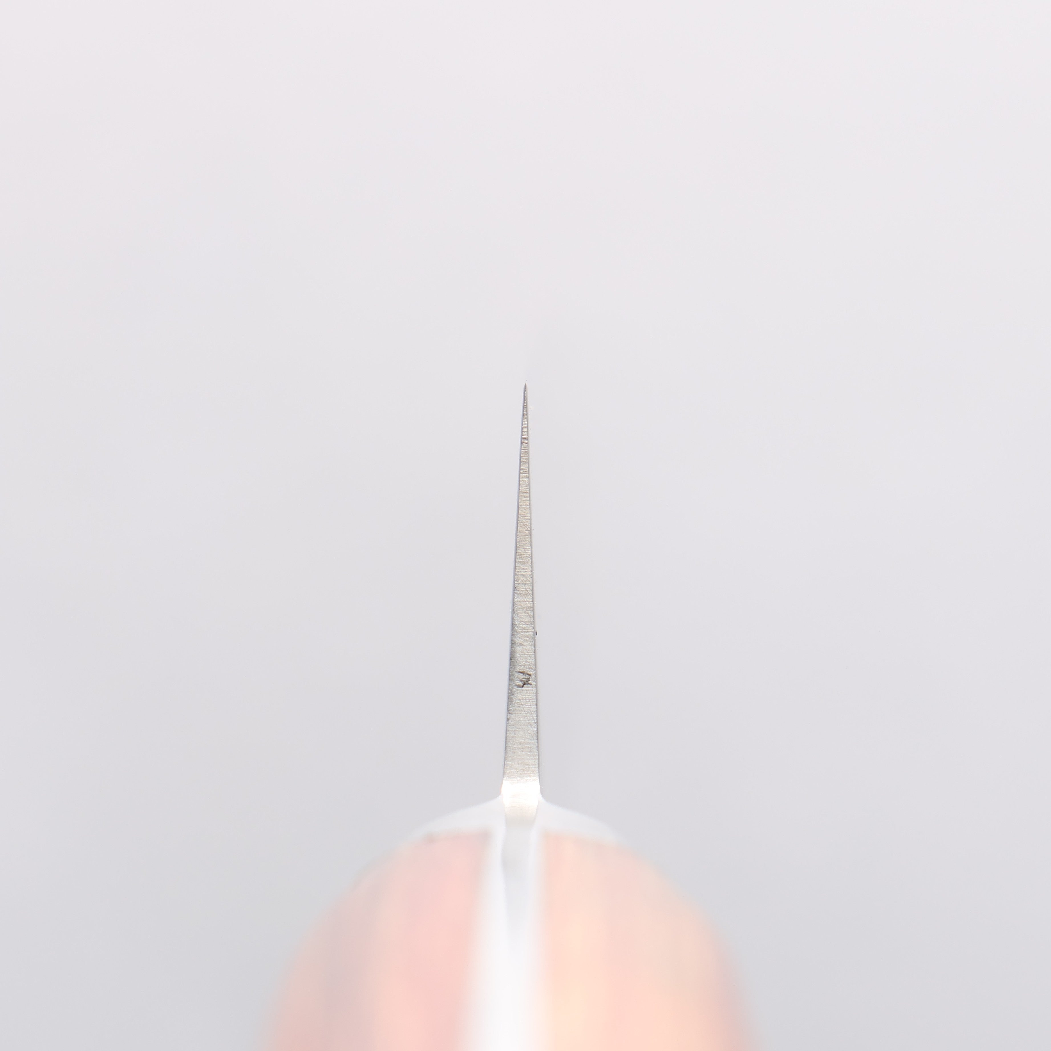 Sakai Takayuki VG5 Hammered Sujihiki 240mm Brown Pakka wood Handle - Japanny - Best Japanese Knife