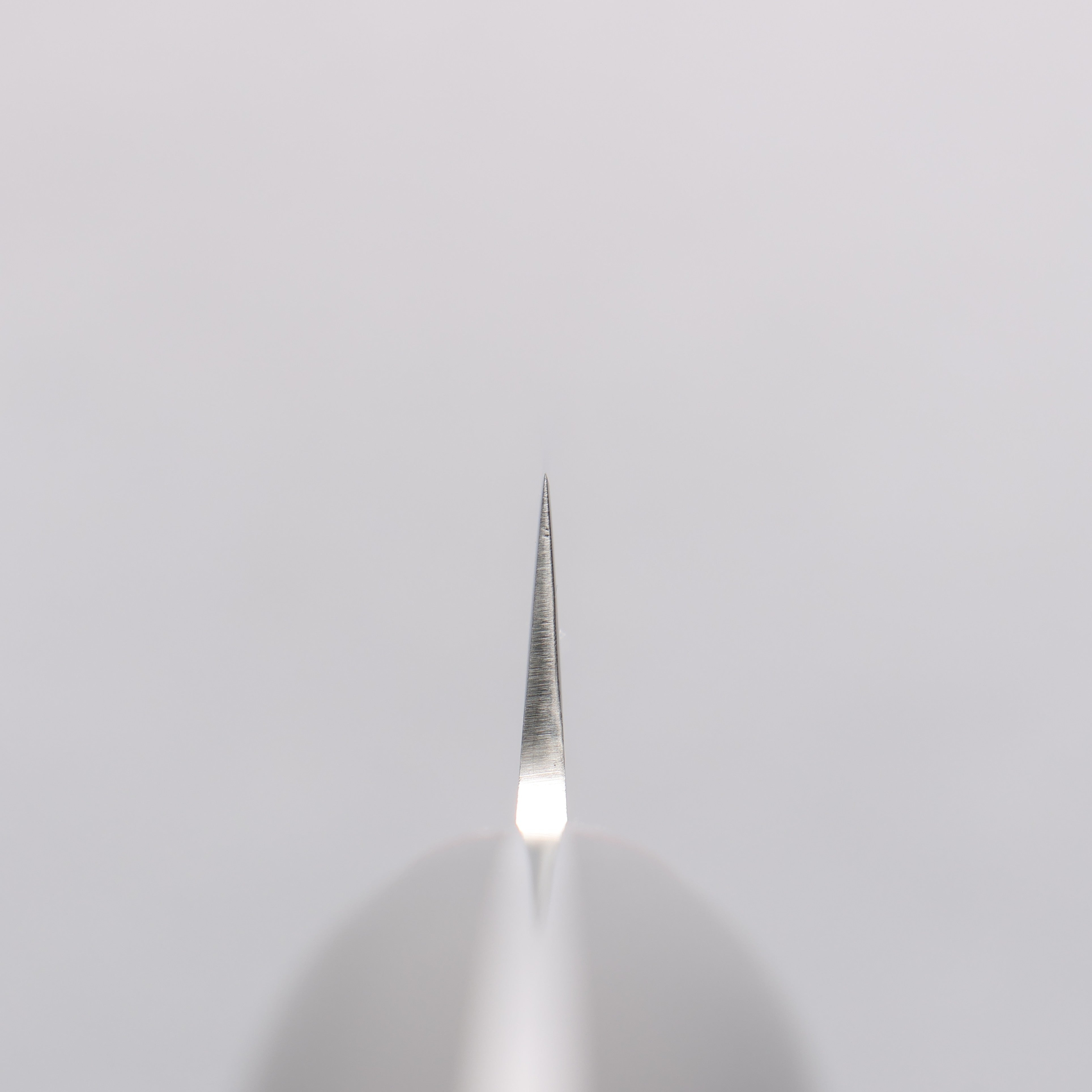 Seisuke VG10 Mirrored Finish Damascus Slicer 210mm Black Micarta Handle - Japanny - Best Japanese Knife