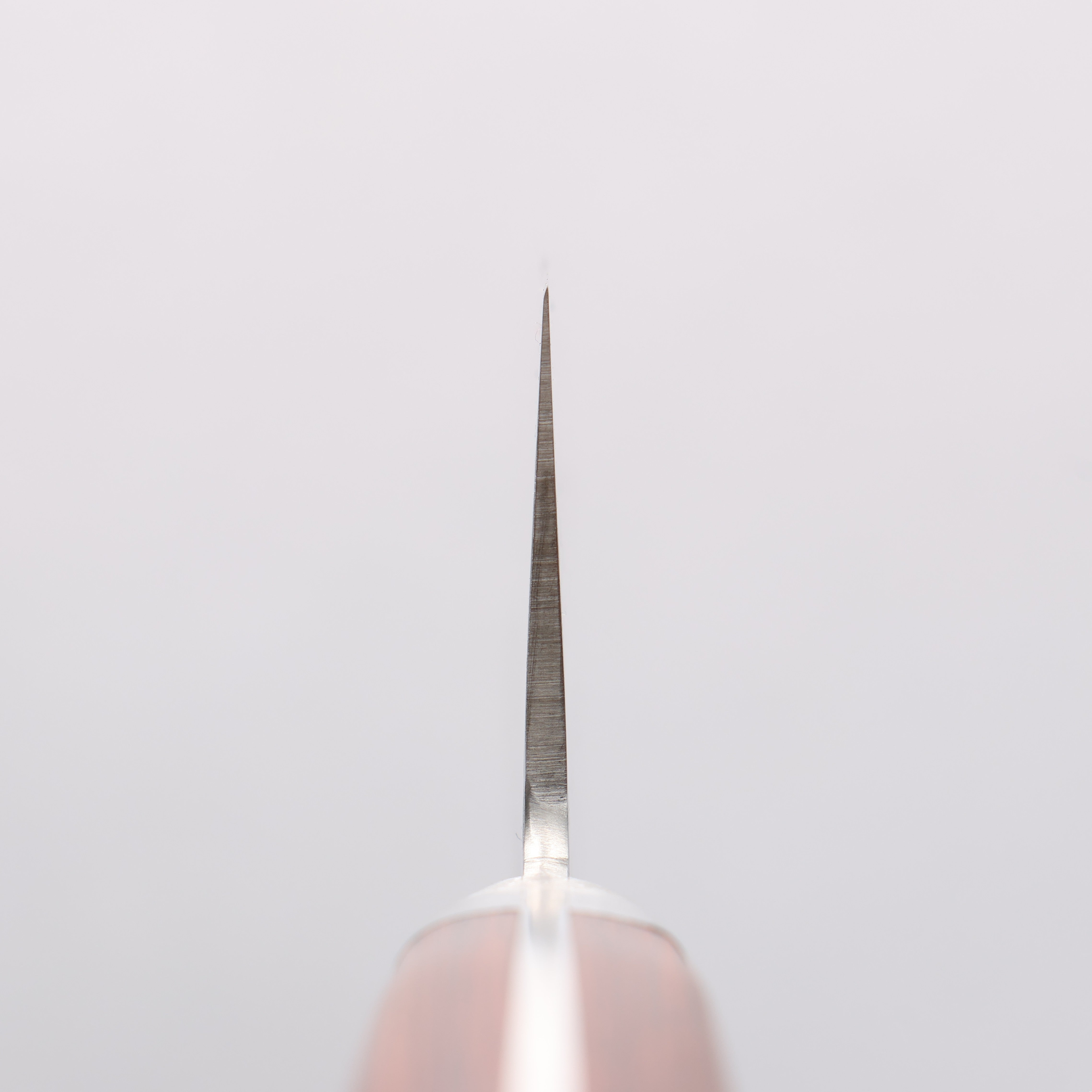 Sakai Takayuki VG10 17 Layer Damascus Gyuto 240mm - Japanny - Best Japanese Knife