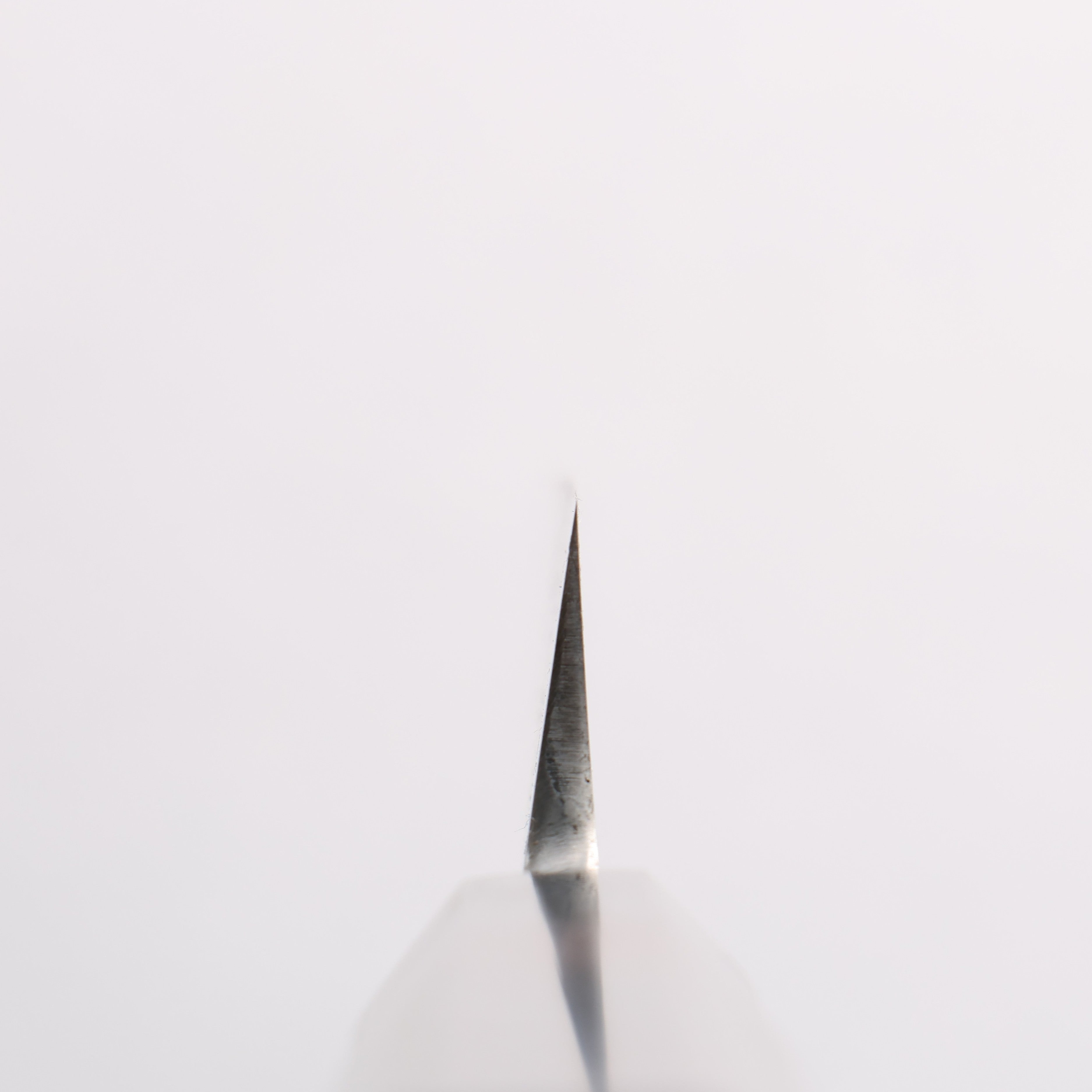 Minamoto Akitada Blue Steel No.1 Yanagiba 270mm Ebony Wood Handle - Japanny - Best Japanese Knife