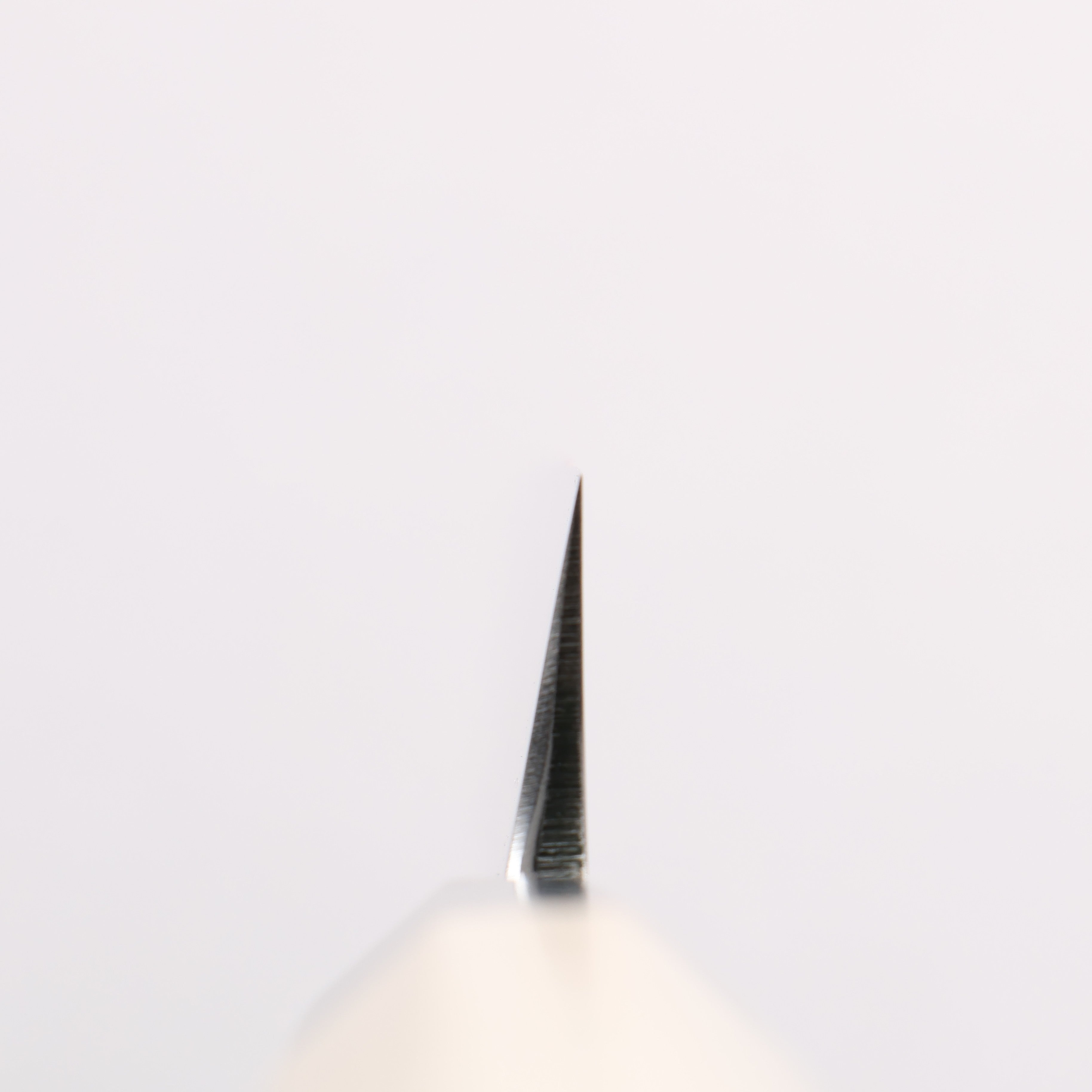 Minamoto Akitada White Steel No.2 Yanagiba 270mm Magnolia (Ferrule: Water Buffalo Horn) Handle - Japanny - Best Japanese Knife