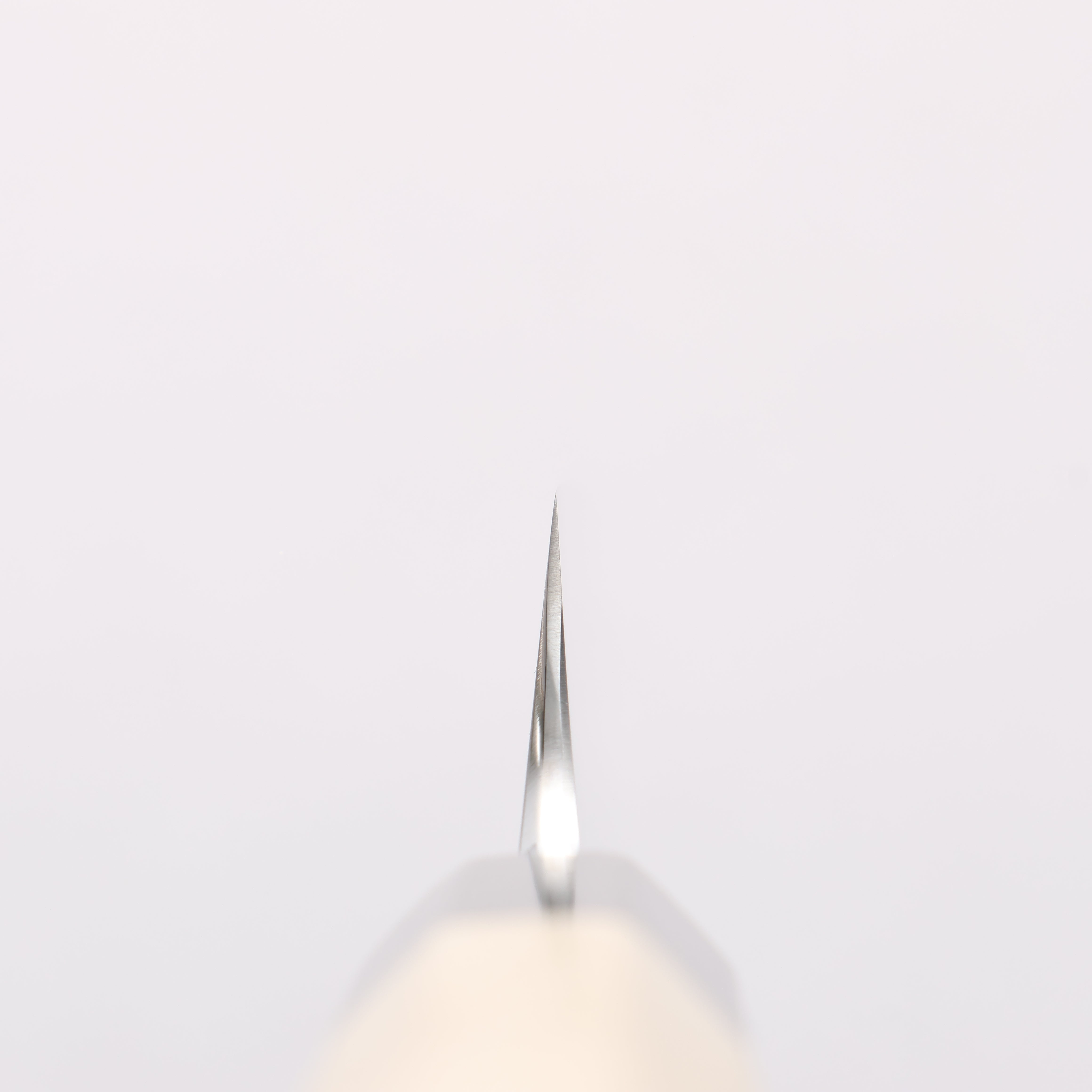 Choyo Silver Steel No.3 Mirrored Finish Kengata Yanagiba 270mm Magnolia Handle - Japanny - Best Japanese Knife