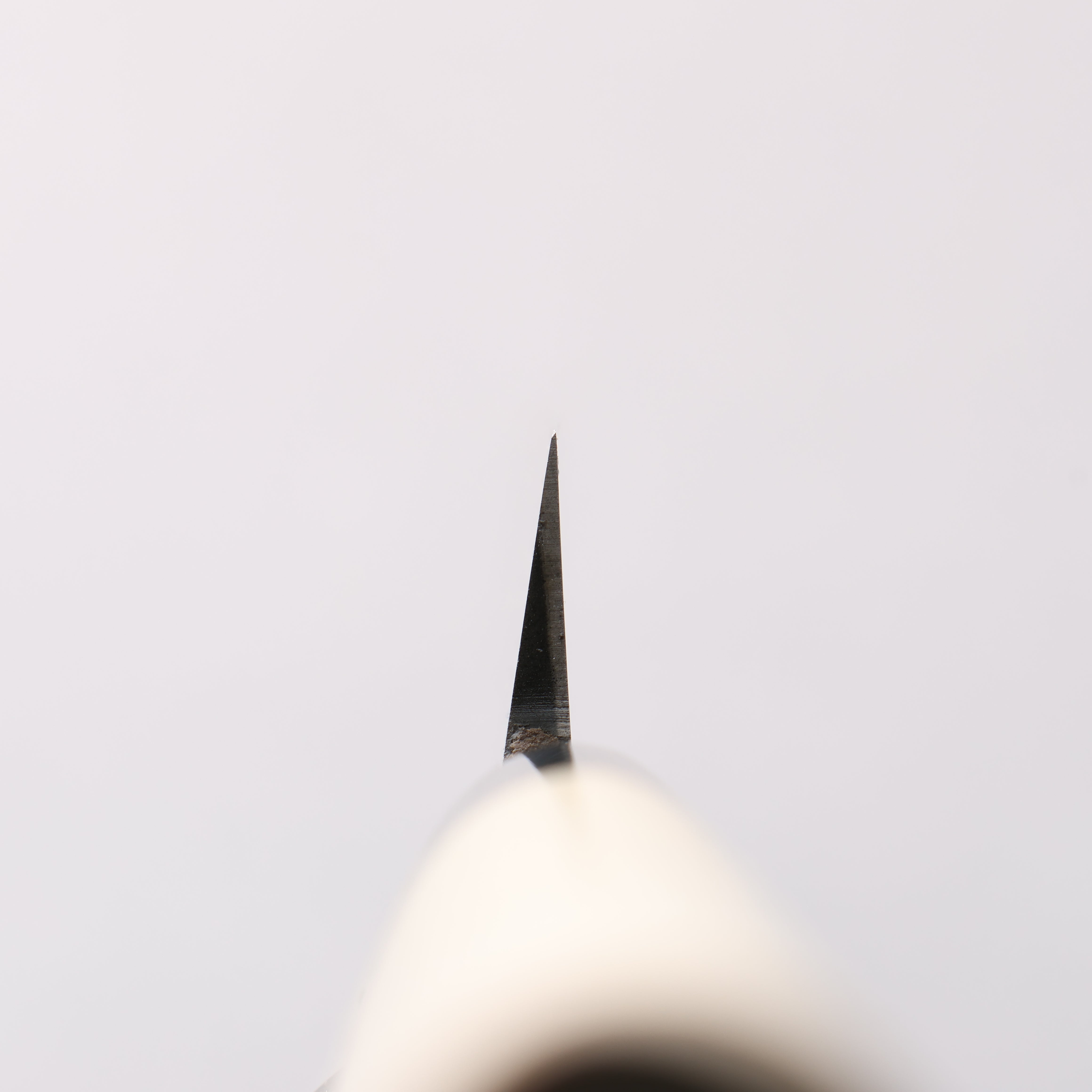 Sakai Takayuki Kasumitogi White Steel Yanagiba Magnolia Handle - Japanny - Best Japanese Knife