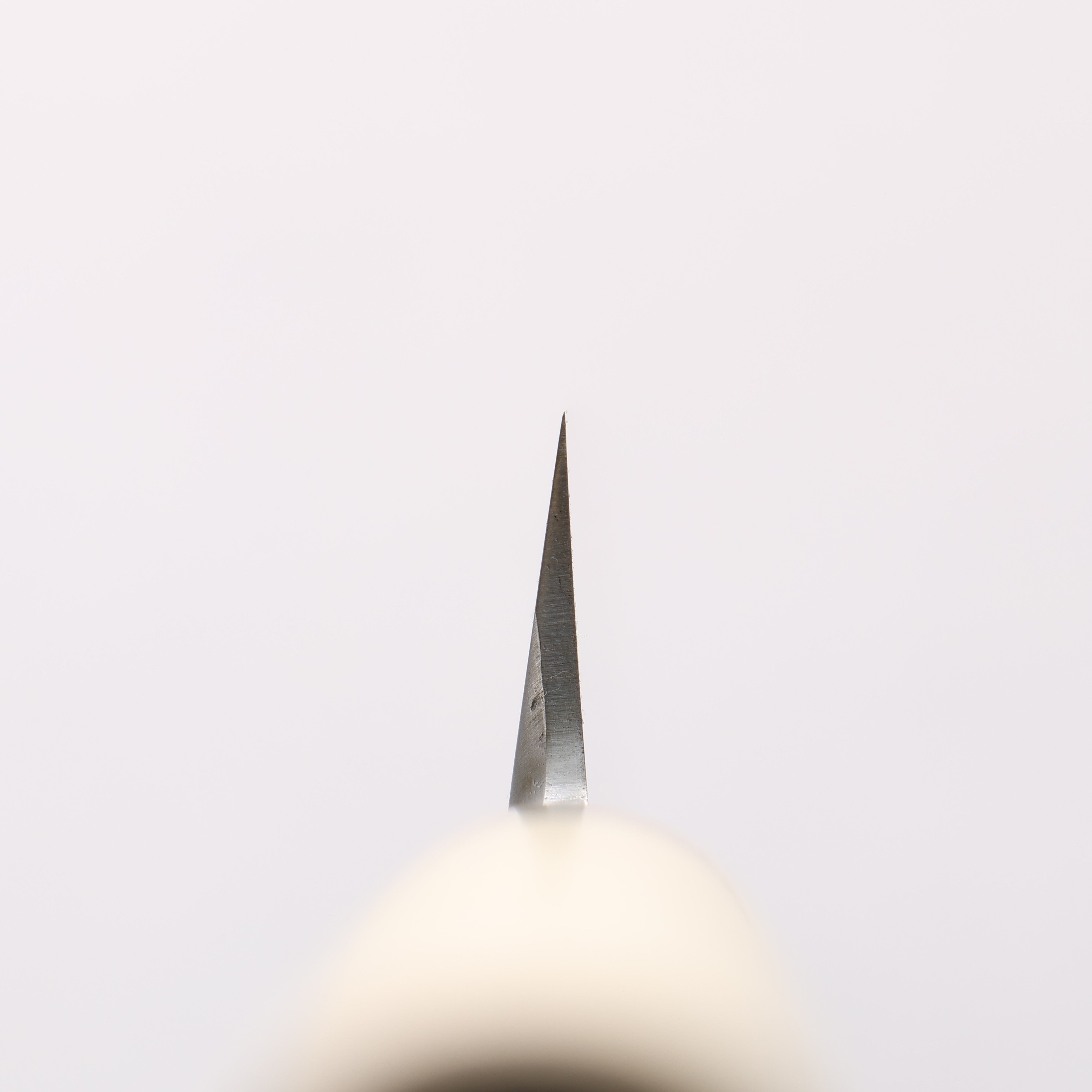 Sakai Takayuki Uzushio White Steel No.2 Yanagiba Magnolia Handle - Japanny - Best Japanese Knife