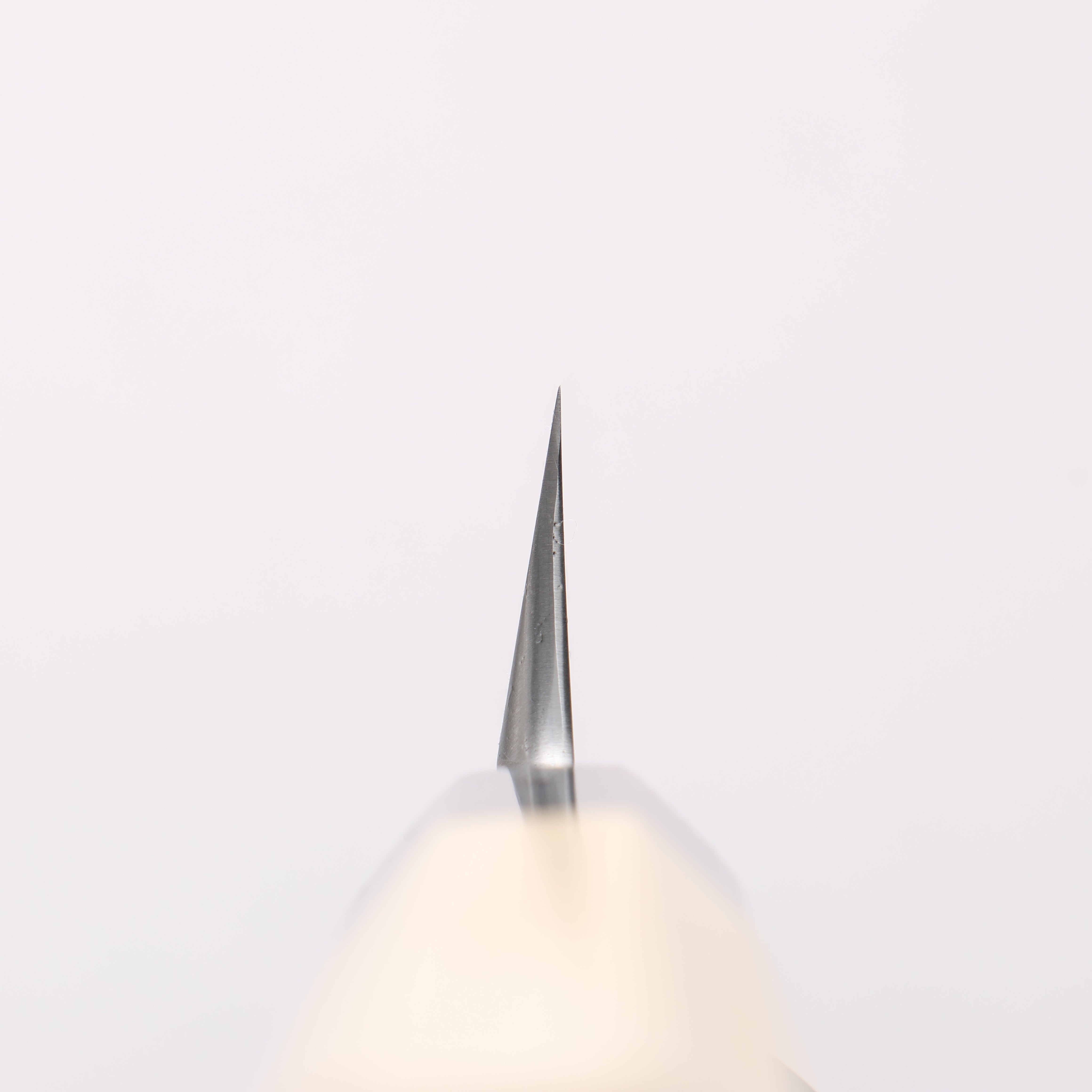 Kikuzuki White Steel No.2 Nashiji Kiritsuke Yanagiba 300mm Magnolia Handle - Japanny - Best Japanese Knife