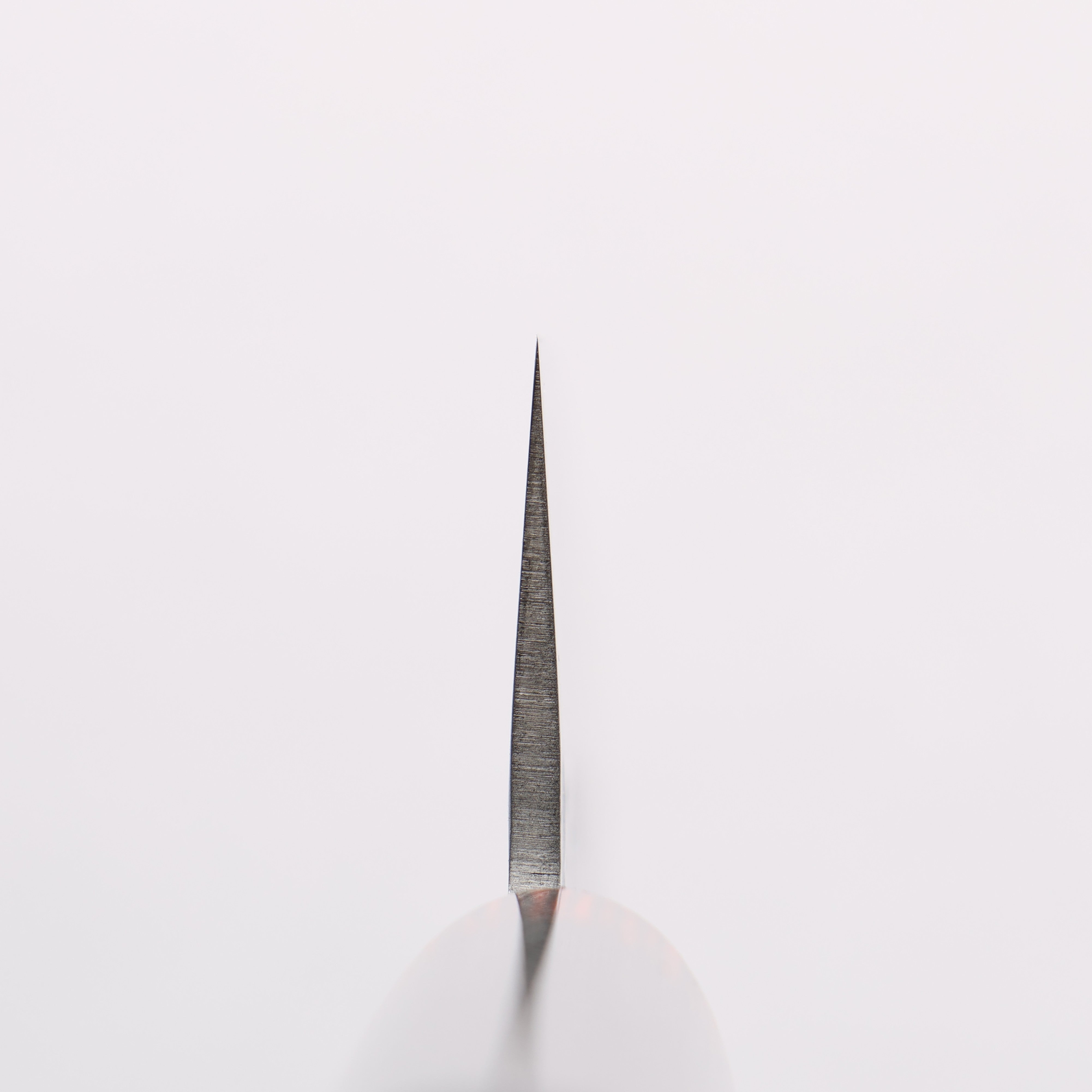 Seisuke VG10 33 Layer Hammered Damascus Santoku 180mm Black Pakka wood Handle - Japanny - Best Japanese Knife