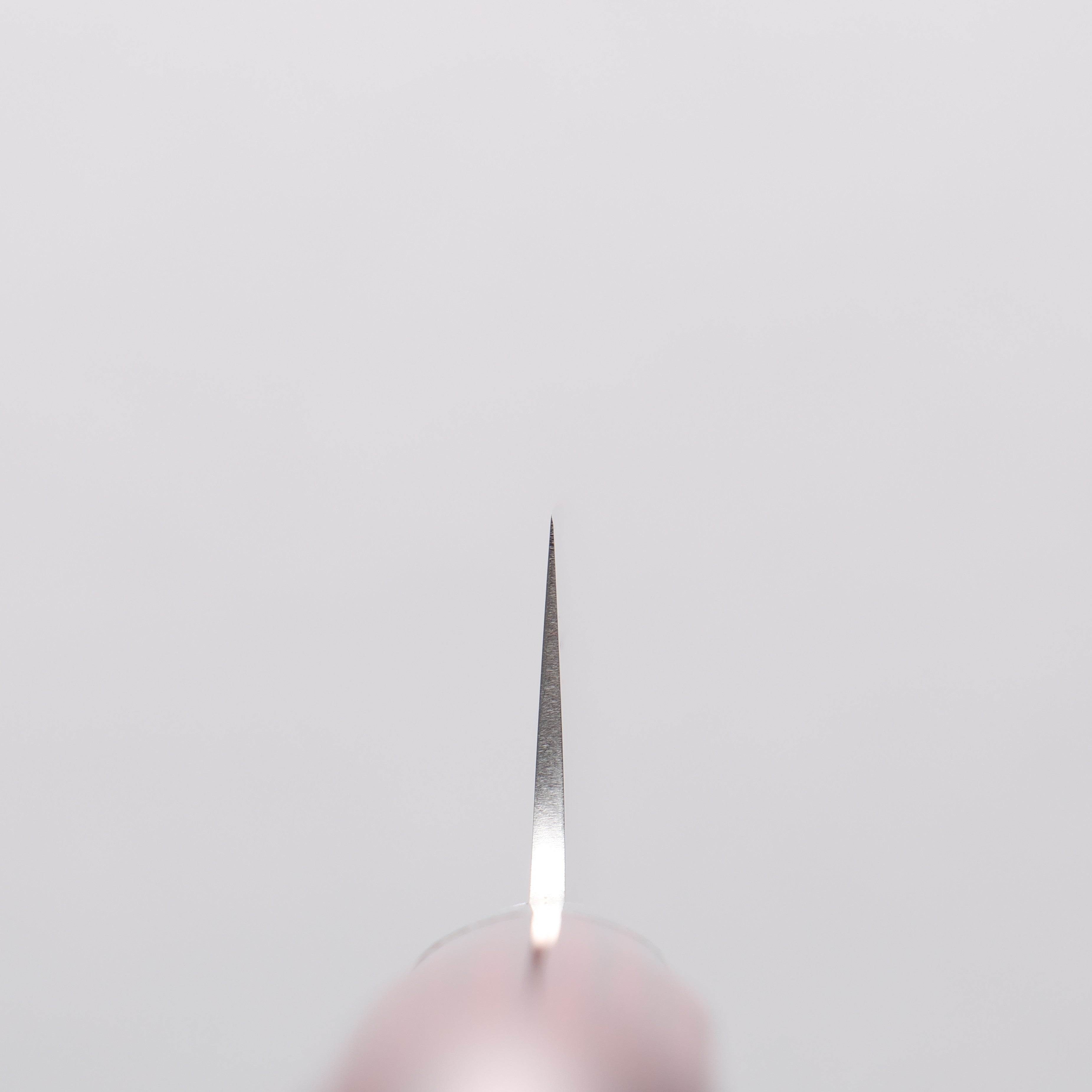 Takamura Knives SG2 Petty-Utility 130mm with Red Pakka wood Handle - Japanny - Best Japanese Knife