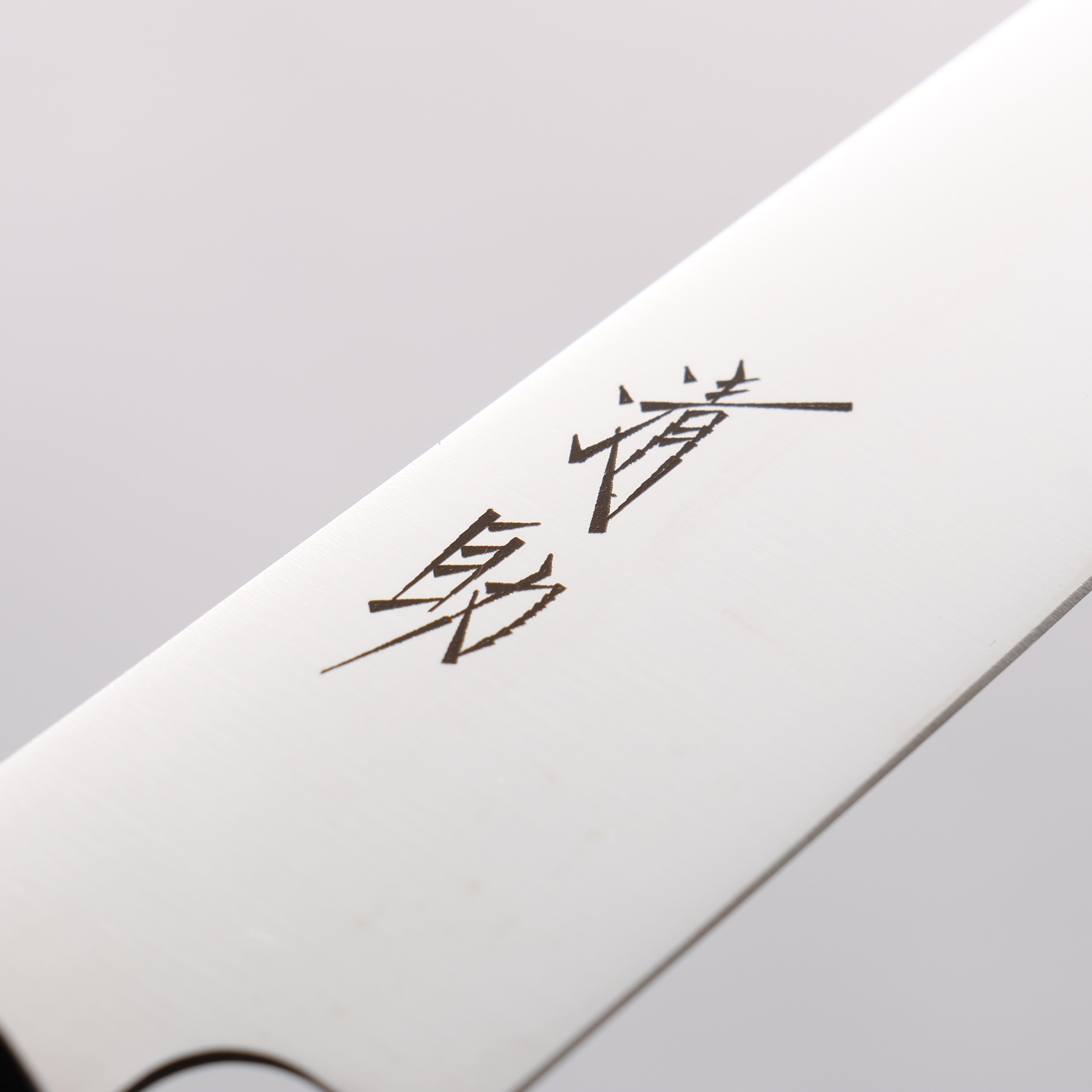 Seisuke Molybdenum Slicer 210mm Black Pakka wood Handle - Japanny - Best Japanese Knife