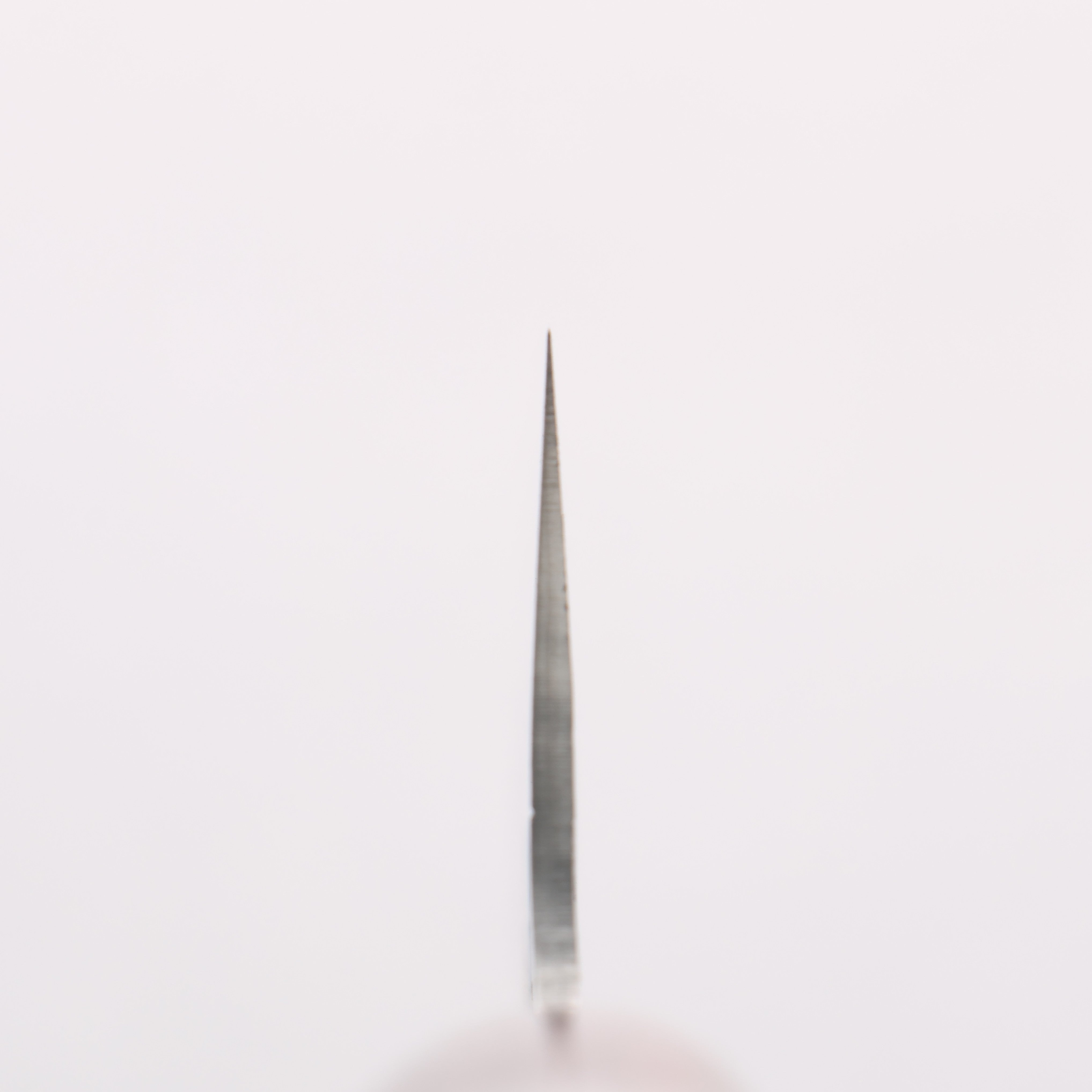 Sakai Takayuki SG2 Hammered Damascus Migaki Finished Kengata Santoku 160mm Rosewood Handle - Japanny - Best Japanese Knife