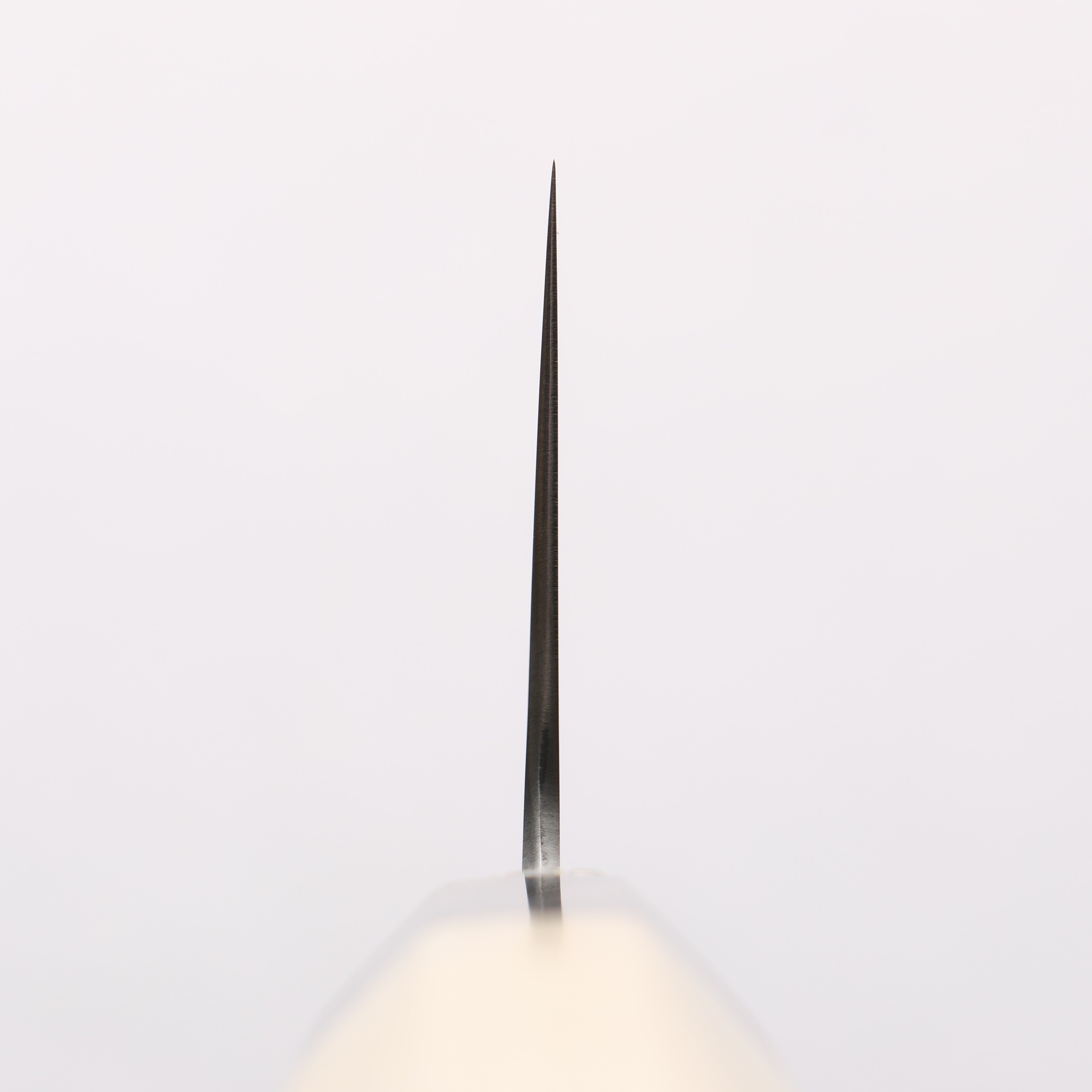 Seisuke Swedish Steel-stn Gyuto 300mm Magnolia Handle - Japanny - Best Japanese Knife