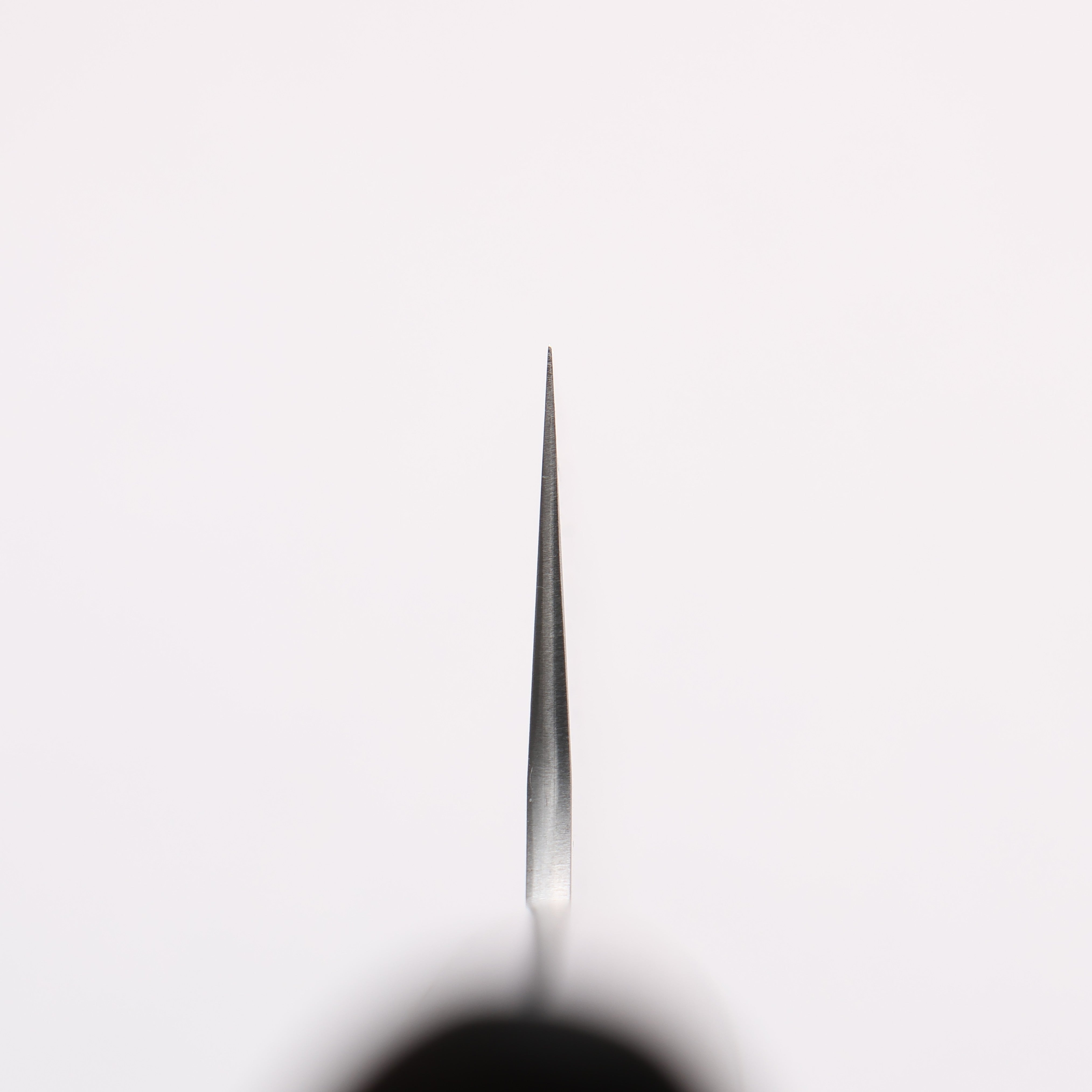 Shungo Ogata SG2 Togidashi Sujihiki 240mm Rosewood Handle - Japanny - Best Japanese Knife