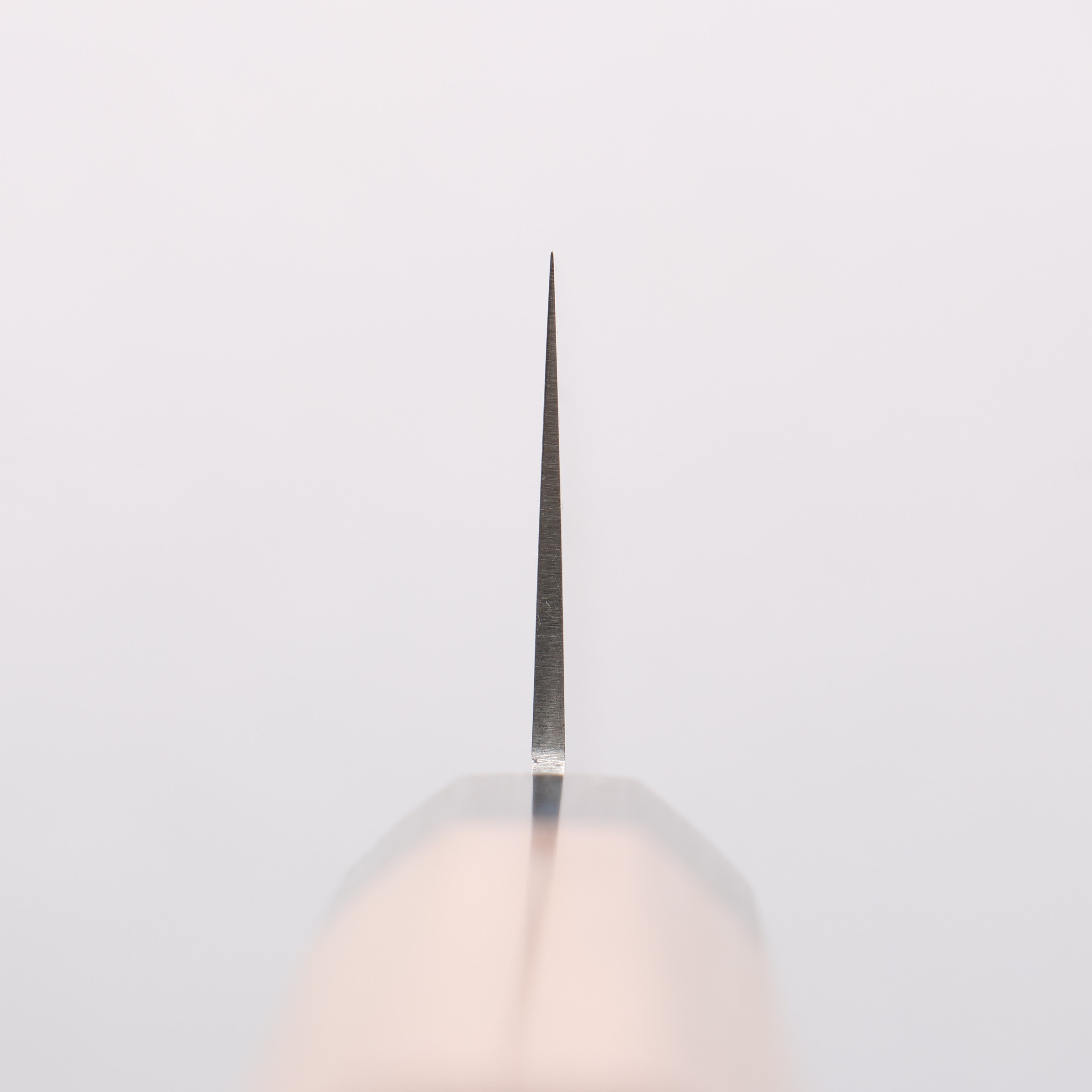 Seisuke VG10 Damascus Santoku 165mm Walnut Handle - Japanny - Best Japanese Knife