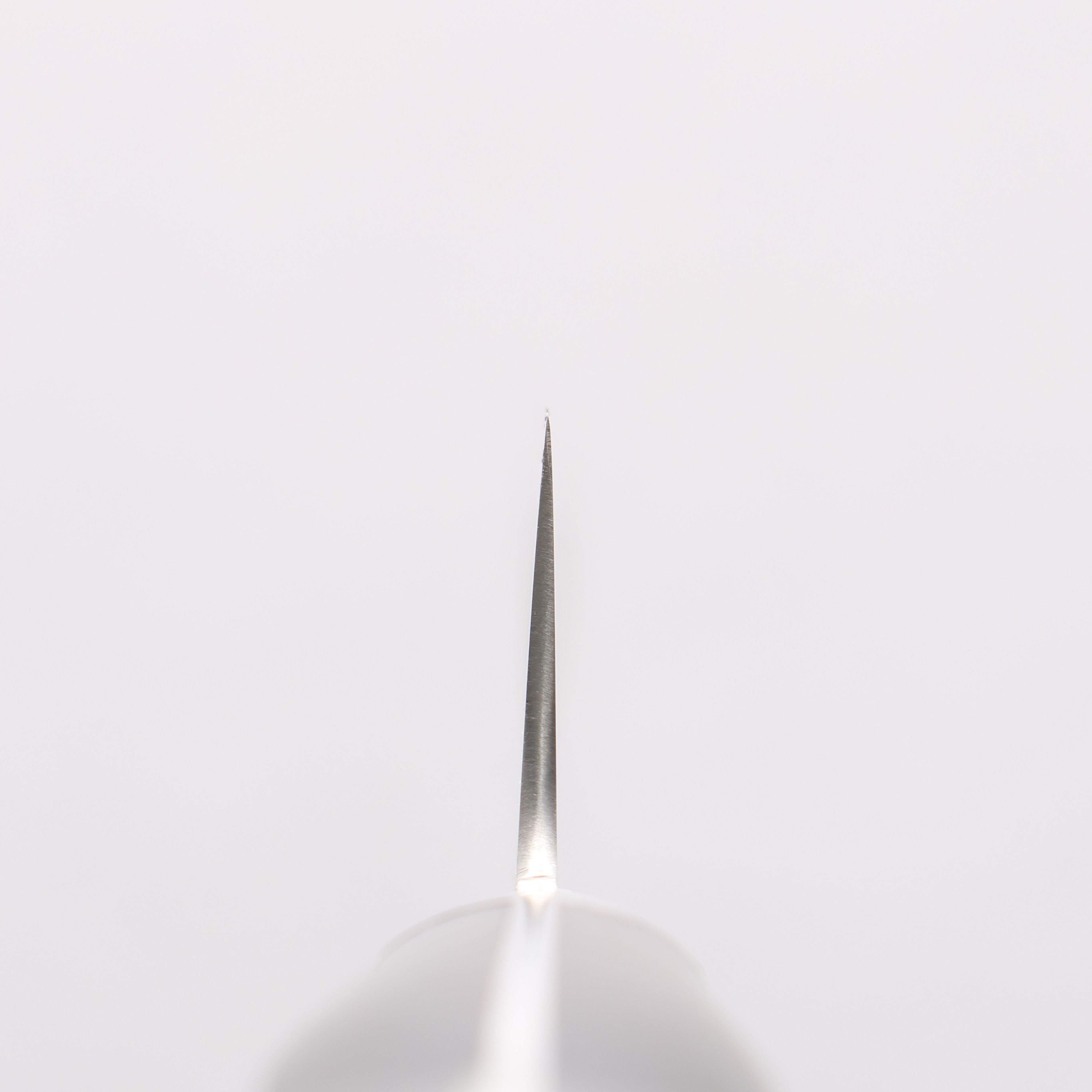 Seisuke Swedish Steel-stn Sujihiki Salmon 270mm Black Pakka wood Handle - Japanny - Best Japanese Knife