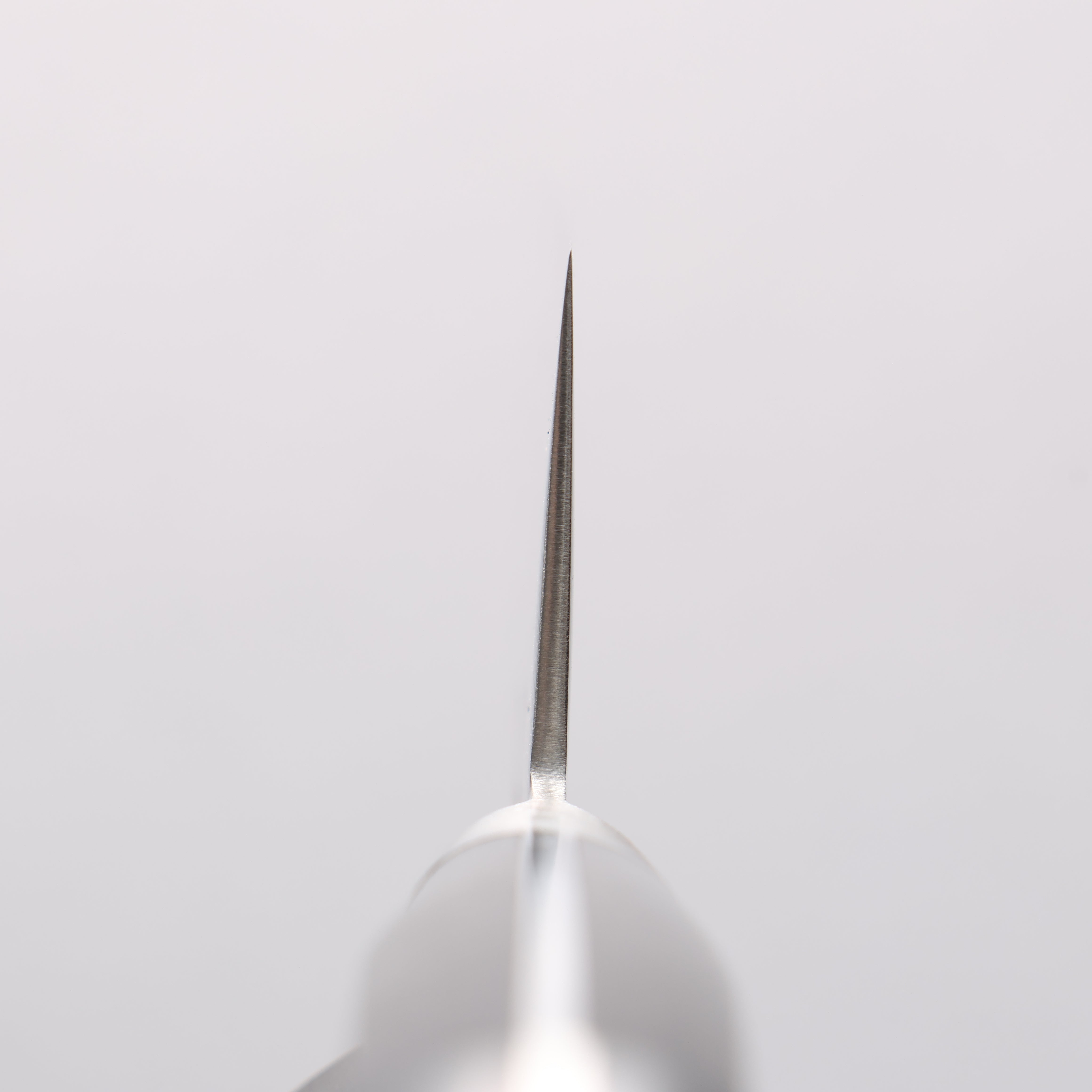 Seisuke Nami AUS10 Mirrored Finish Damascus Santoku 180mm Black Pakka wood Handle - Japanny - Best Japanese Knife