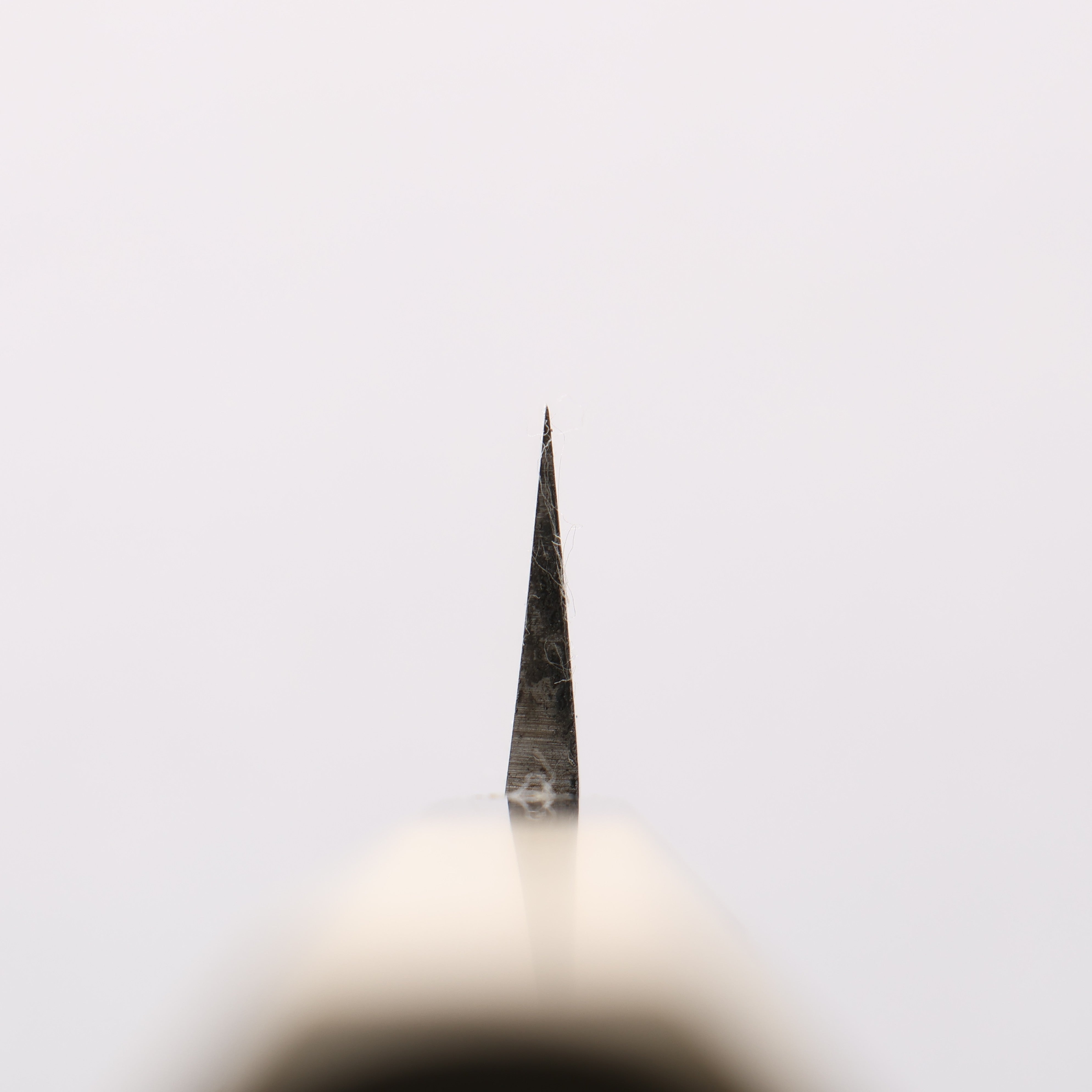 Seisuke [Left Handed] Molybdenum Kasumitogi Yanagiba 270mm - Japanny - Best Japanese Knife