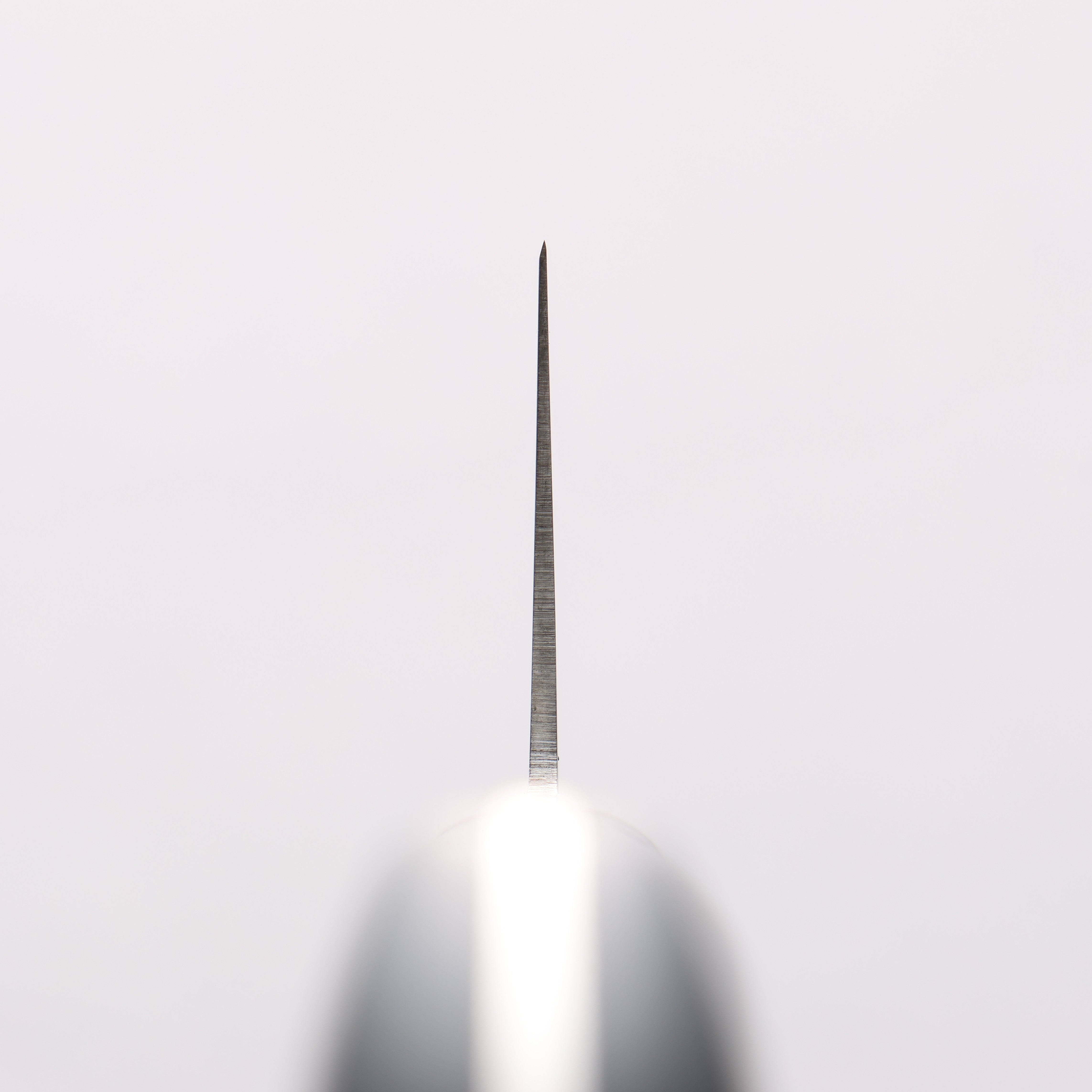 Seisuke Seiten Molybdenum Gyuto 210mm Navy blue Pakka wood Handle with Sheath - Japanny - Best Japanese Knife