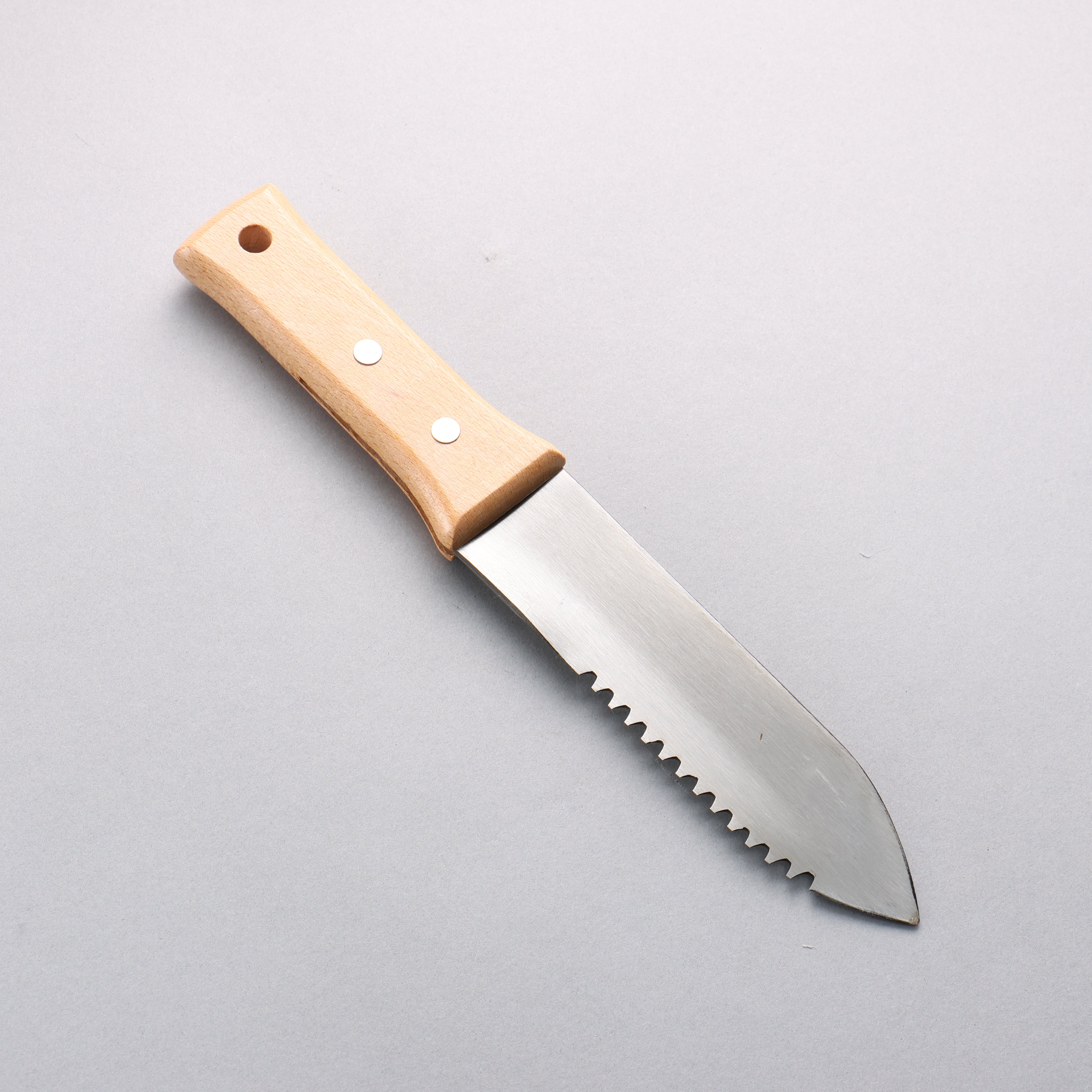 Bonsai Stainless Steel Wild vegetable digging saw blade with Sheath 170mm - Japanny - Best Japanese Knife