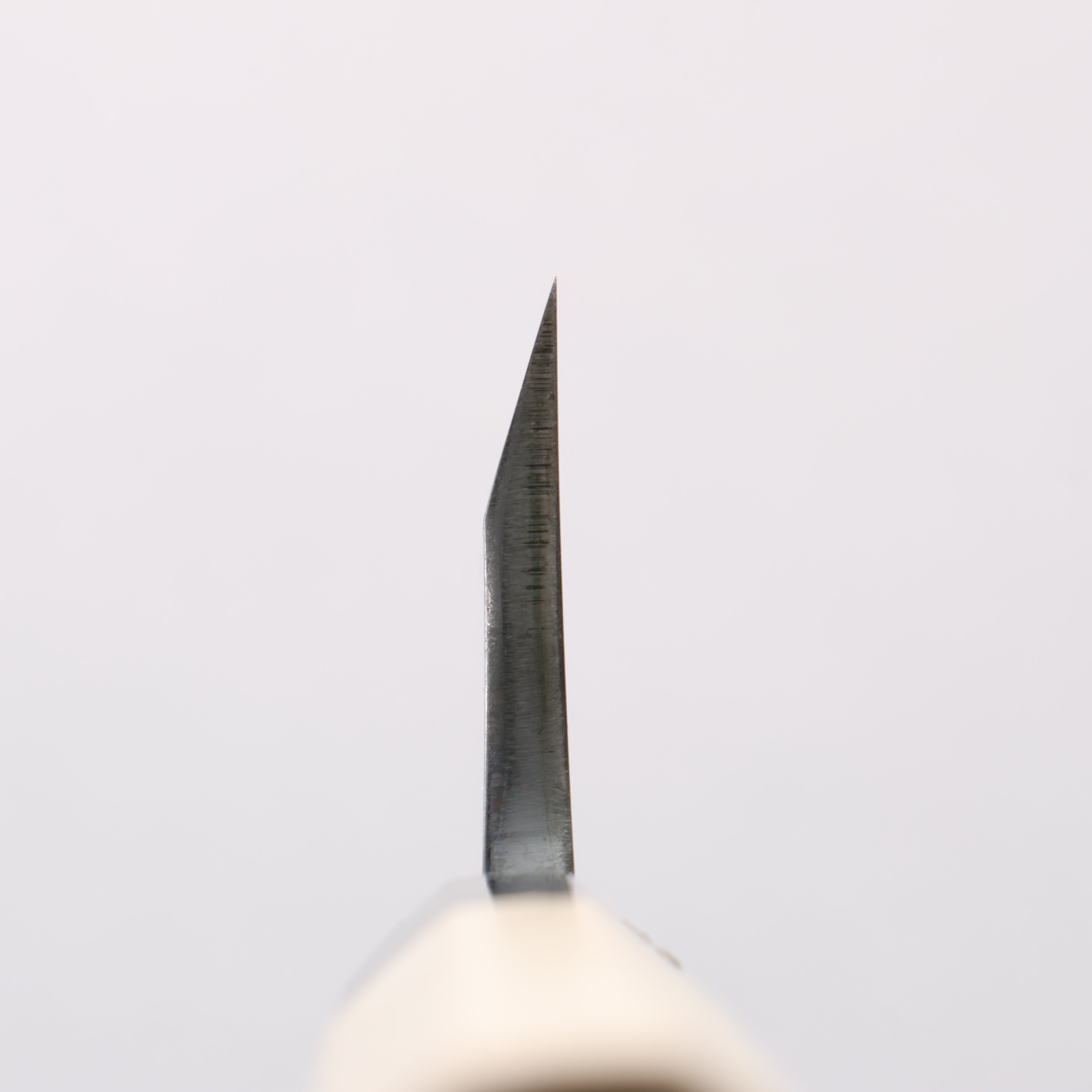 Minamoto Akitada Blue Steel No.2 Aideba 150mm Magnolia (Ferrule: Water Buffalo Horn) Handle - Japanny - Best Japanese Knife