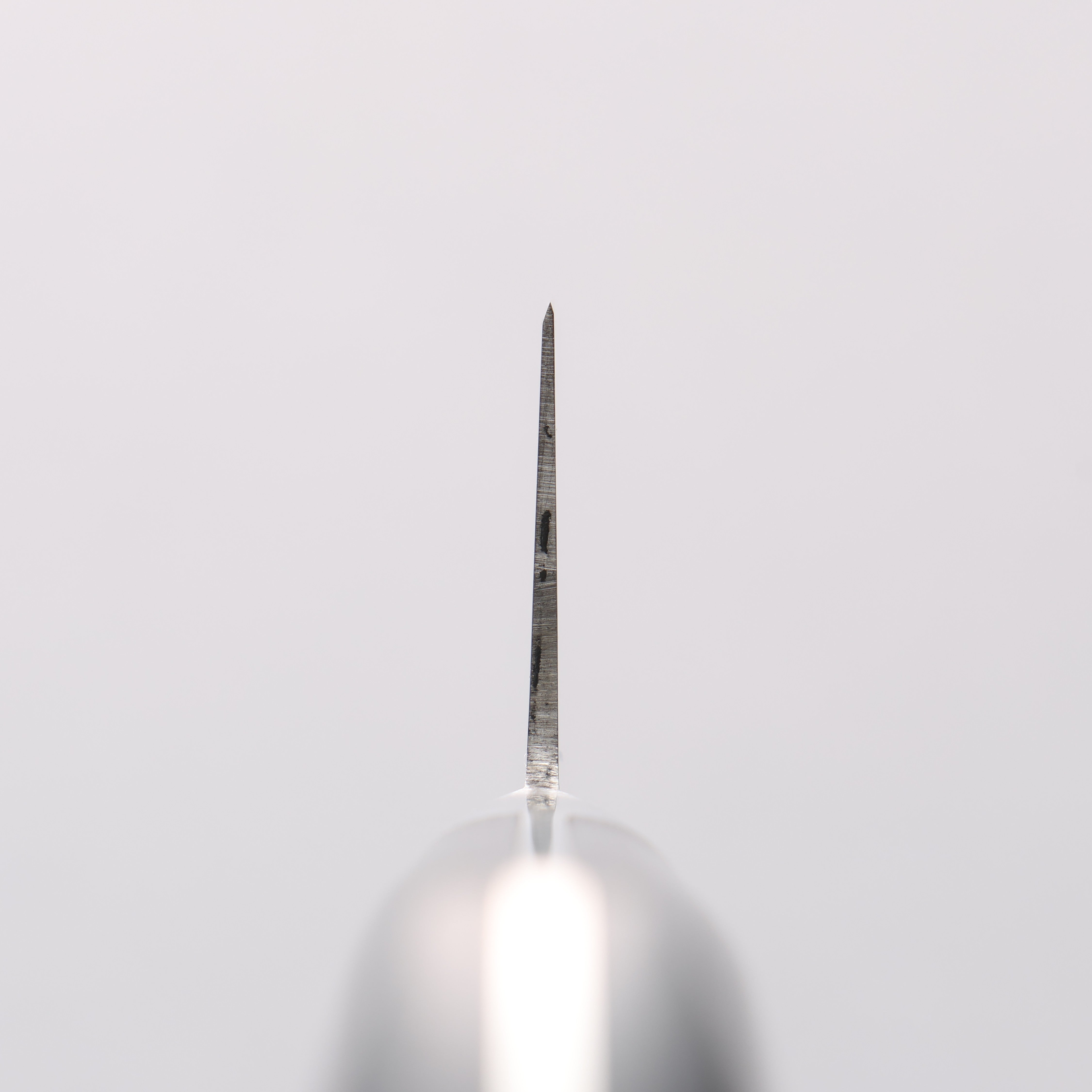 Seisuke Seiten Molybdenum Gyuto 180mm Navy blue Pakka wood Handle - Japanny - Best Japanese Knife