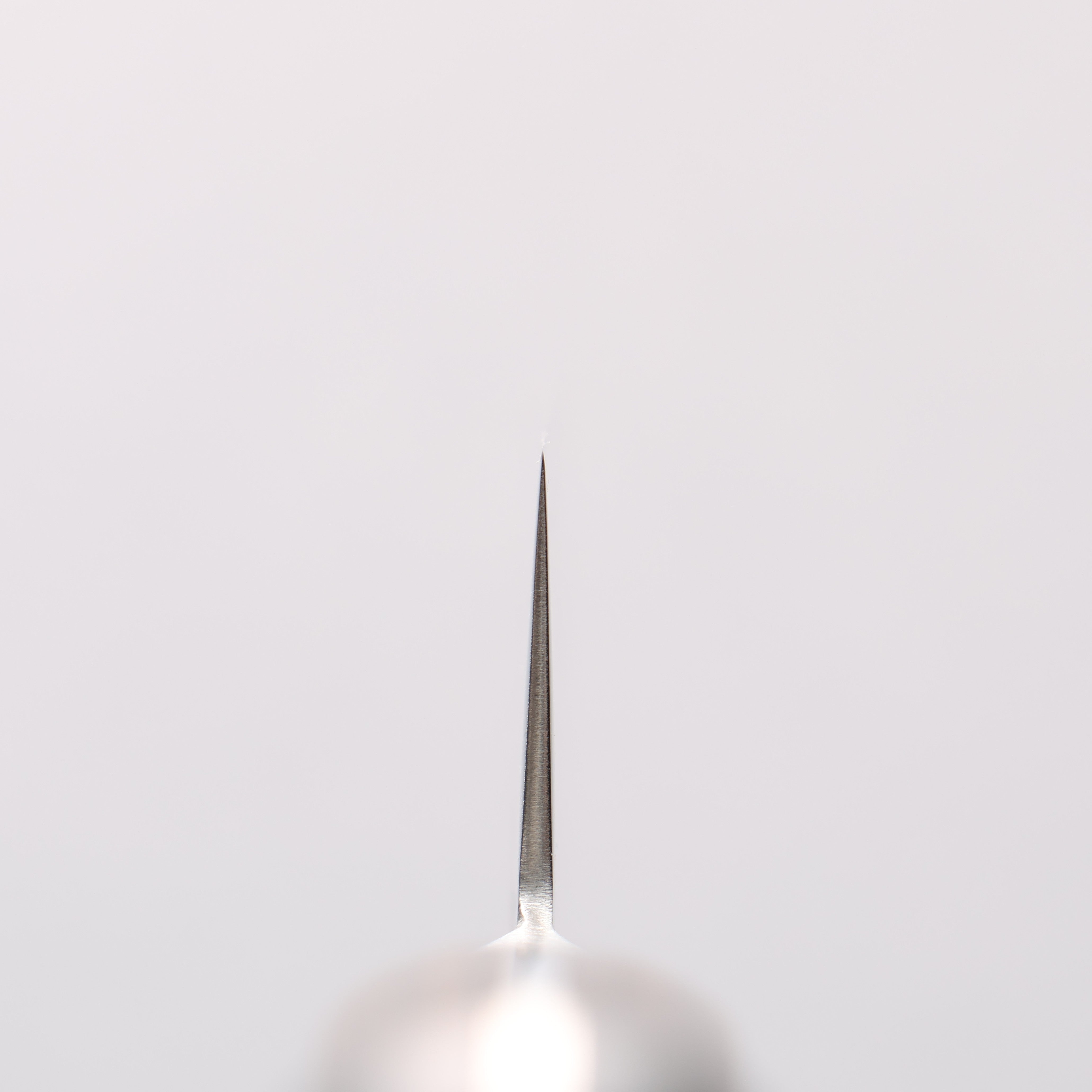 Seisuke Nami AUS10 Mirrored Finish Damascus Sujihiki 240mm Brown Pakka wood Handle - Japanny - Best Japanese Knife