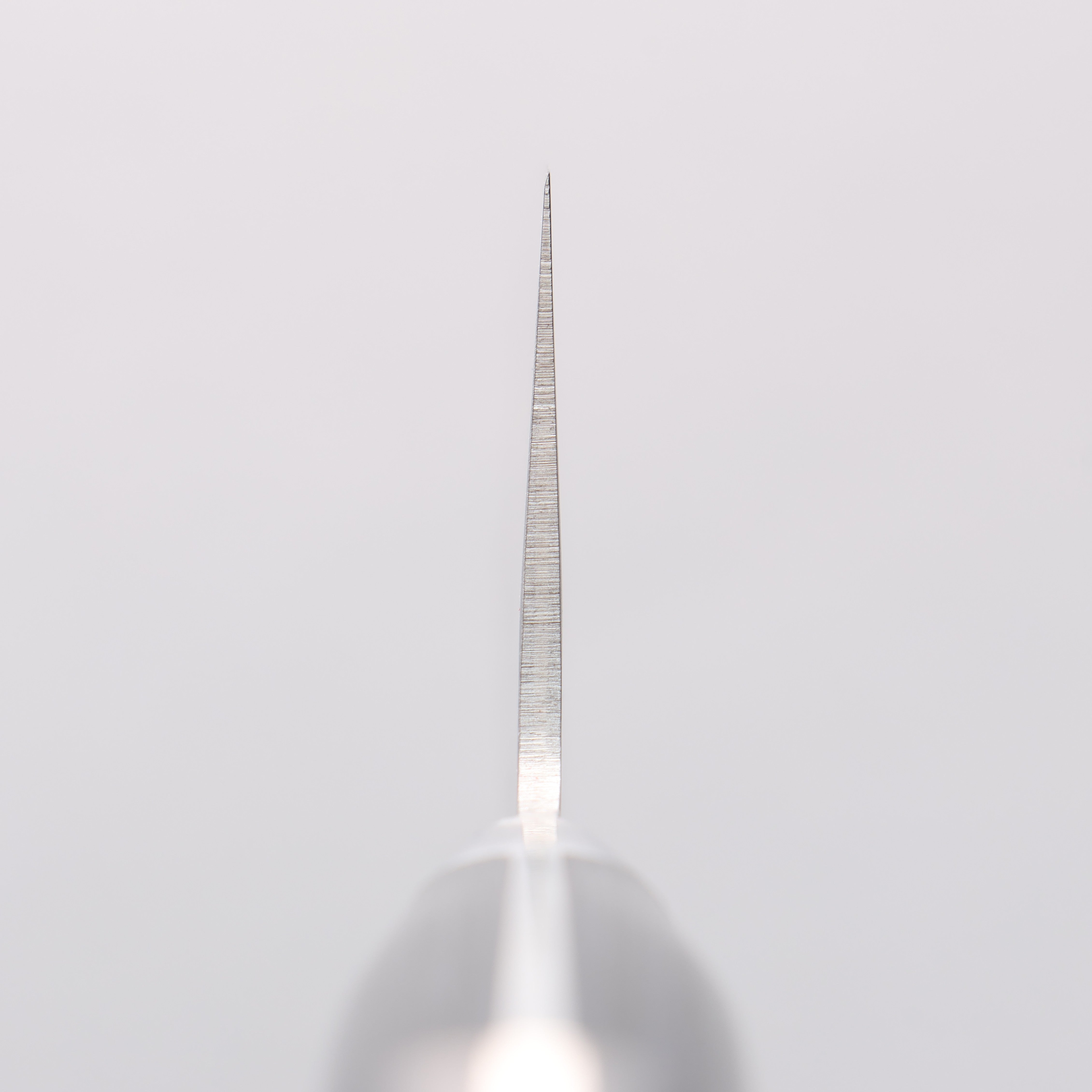 Seisuke Blue Steel No.2 Nashiji Kiritsuke Santoku 195mm Navy blue Pakka wood Handle - Japanny - Best Japanese Knife