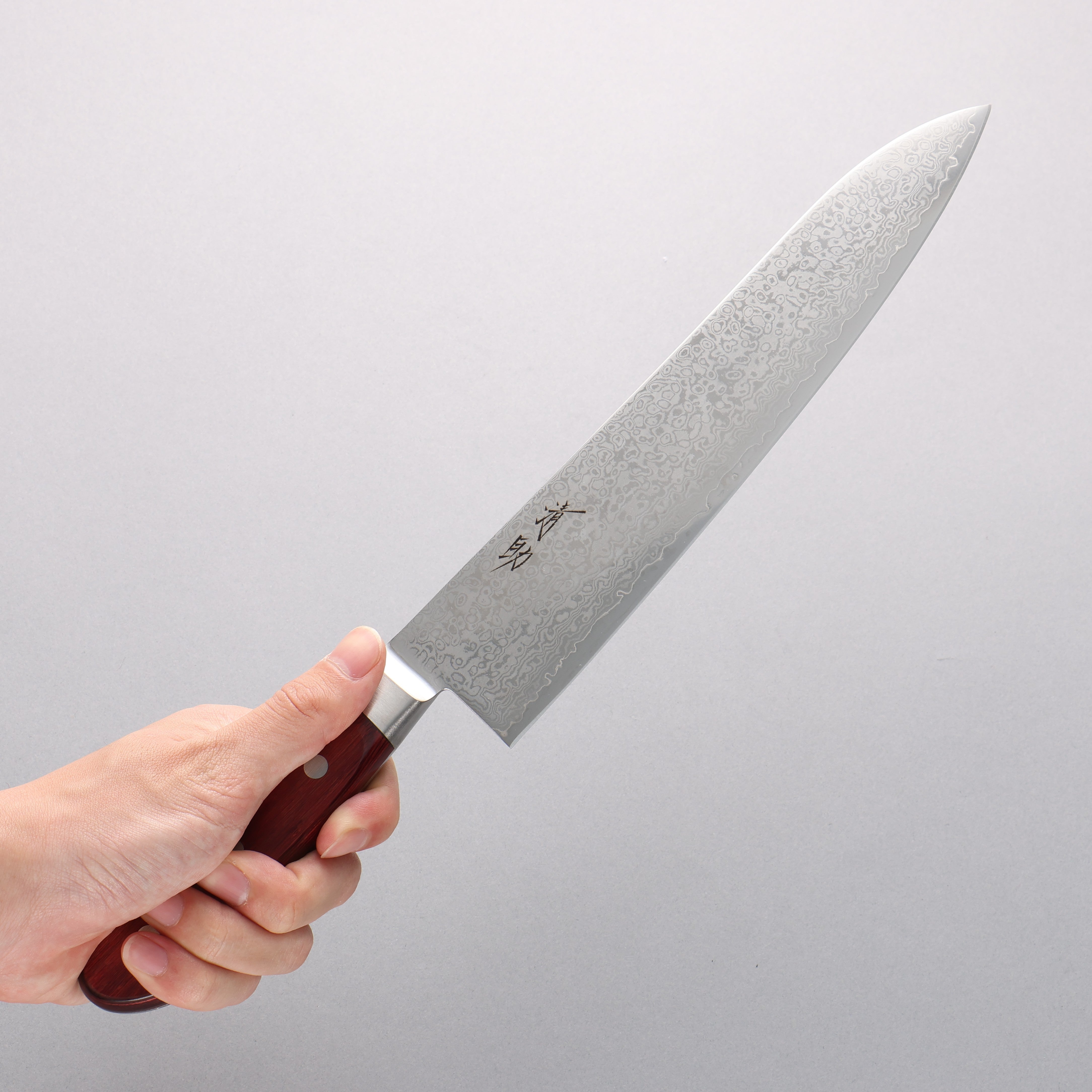 Seisuke VG10 33 Layer Mirrored Finish Damascus Gyuto 240mm Red Pakka wood Handle - Japanny - Best Japanese Knife