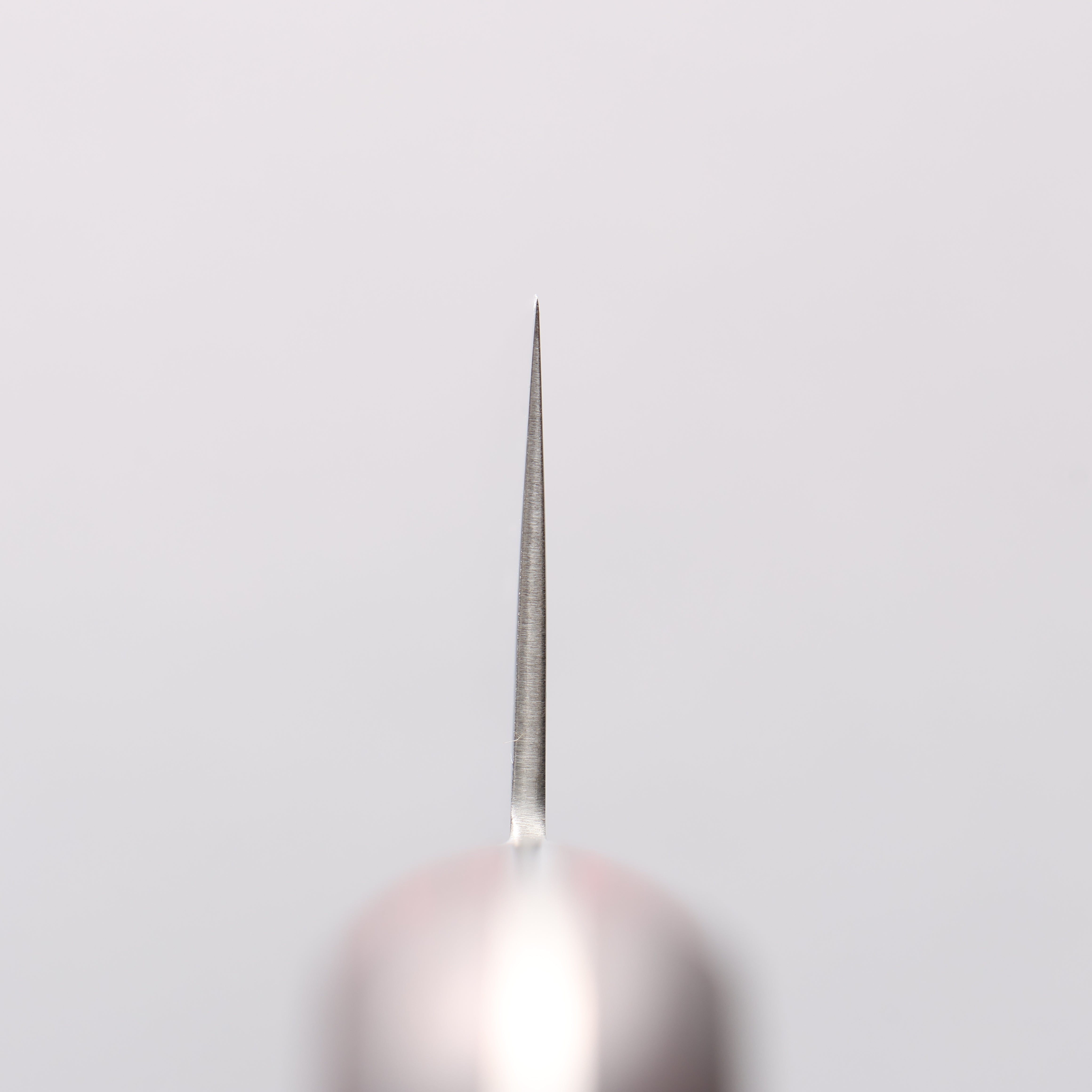 Seisuke Kagami2 AUS10 Mirrored Finish Damascus Gyuto 240mm Red Pakka wood Handle - Japanny - Best Japanese Knife