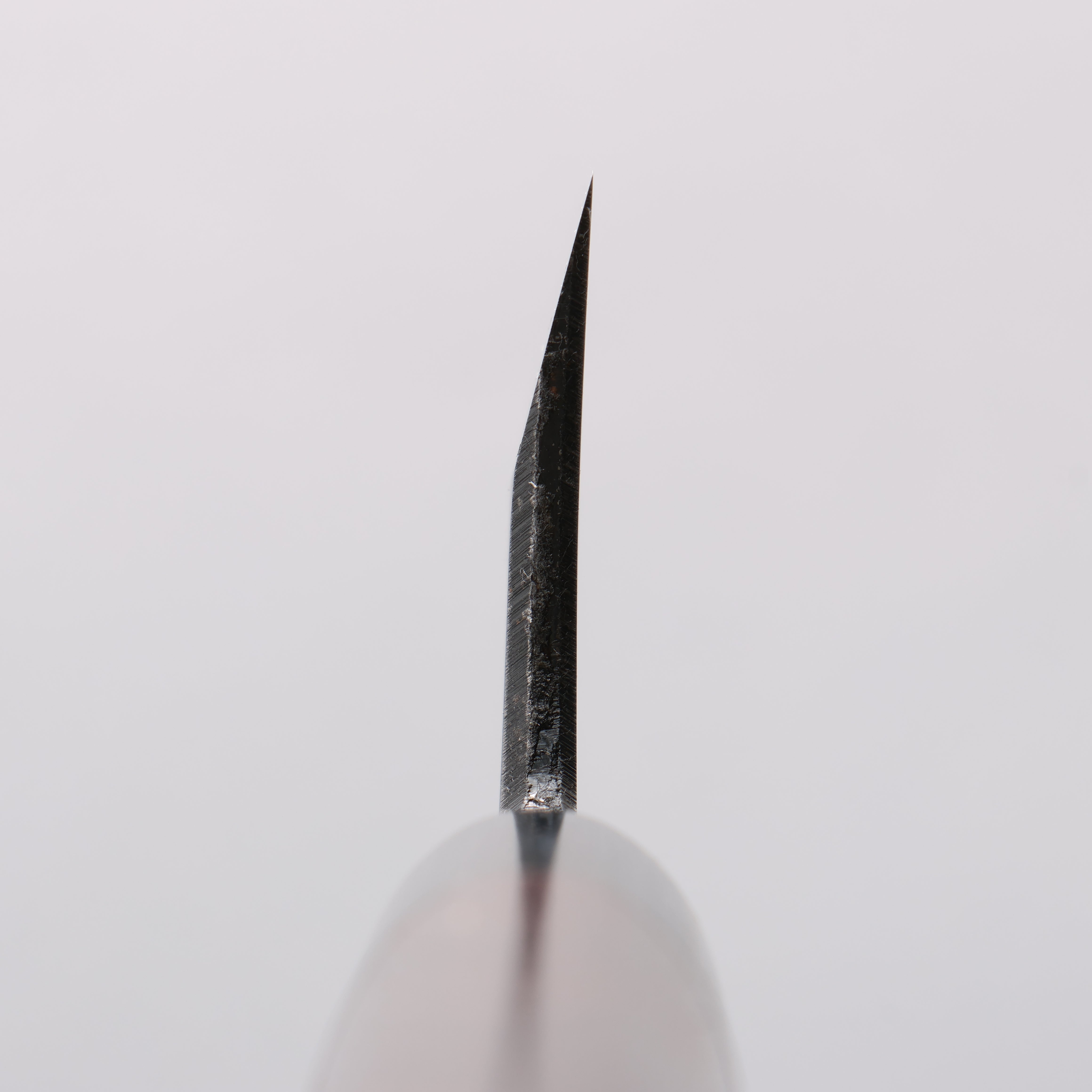 Seisuke Blue Steel Kasumitogi Funayuki 180mm Rosewood Handle - Japanny - Best Japanese Knife