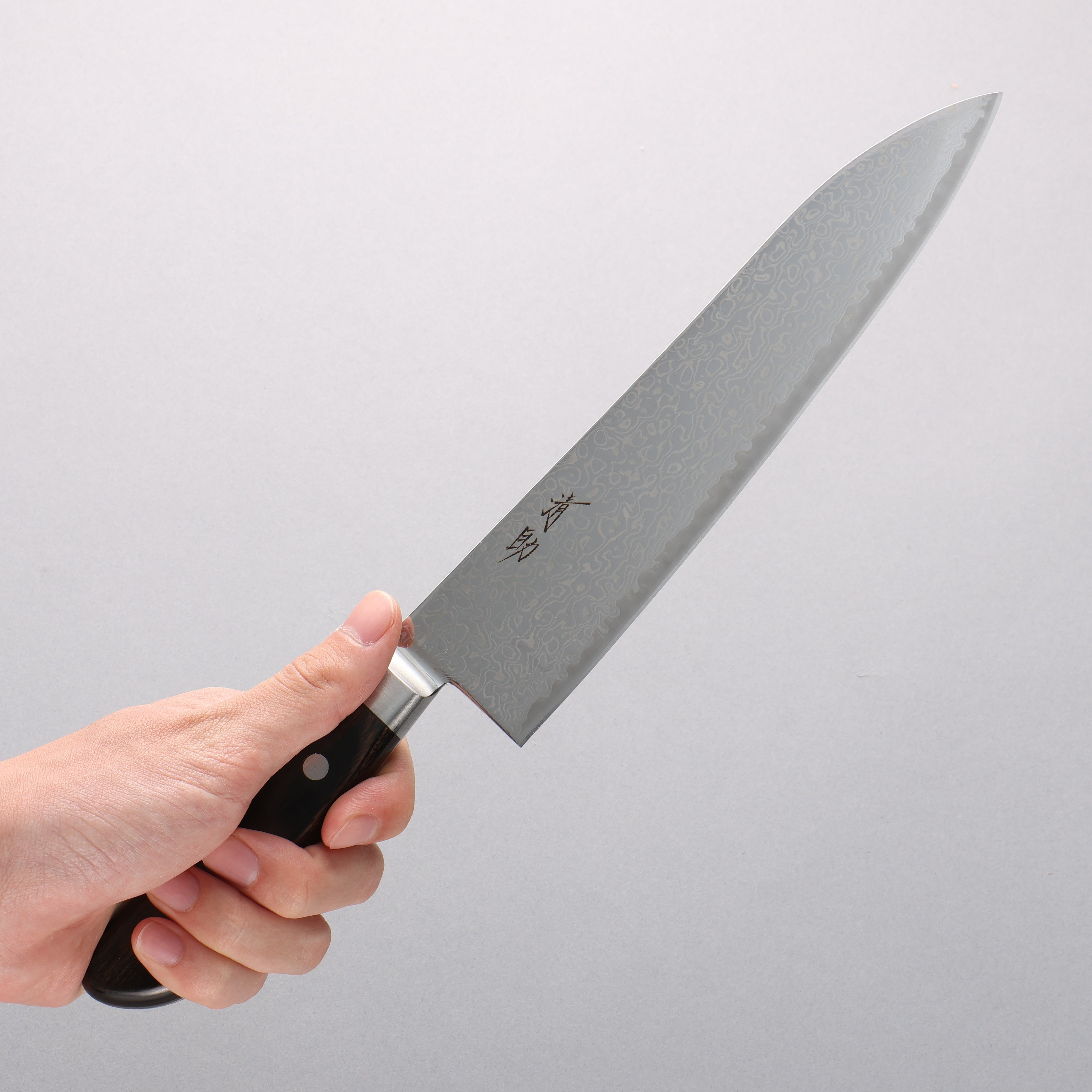 Seisuke Kagami2 AUS10 Mirrored Finish Damascus Gyuto 210mm Brown Pakka wood Handle - Japanny - Best Japanese Knife