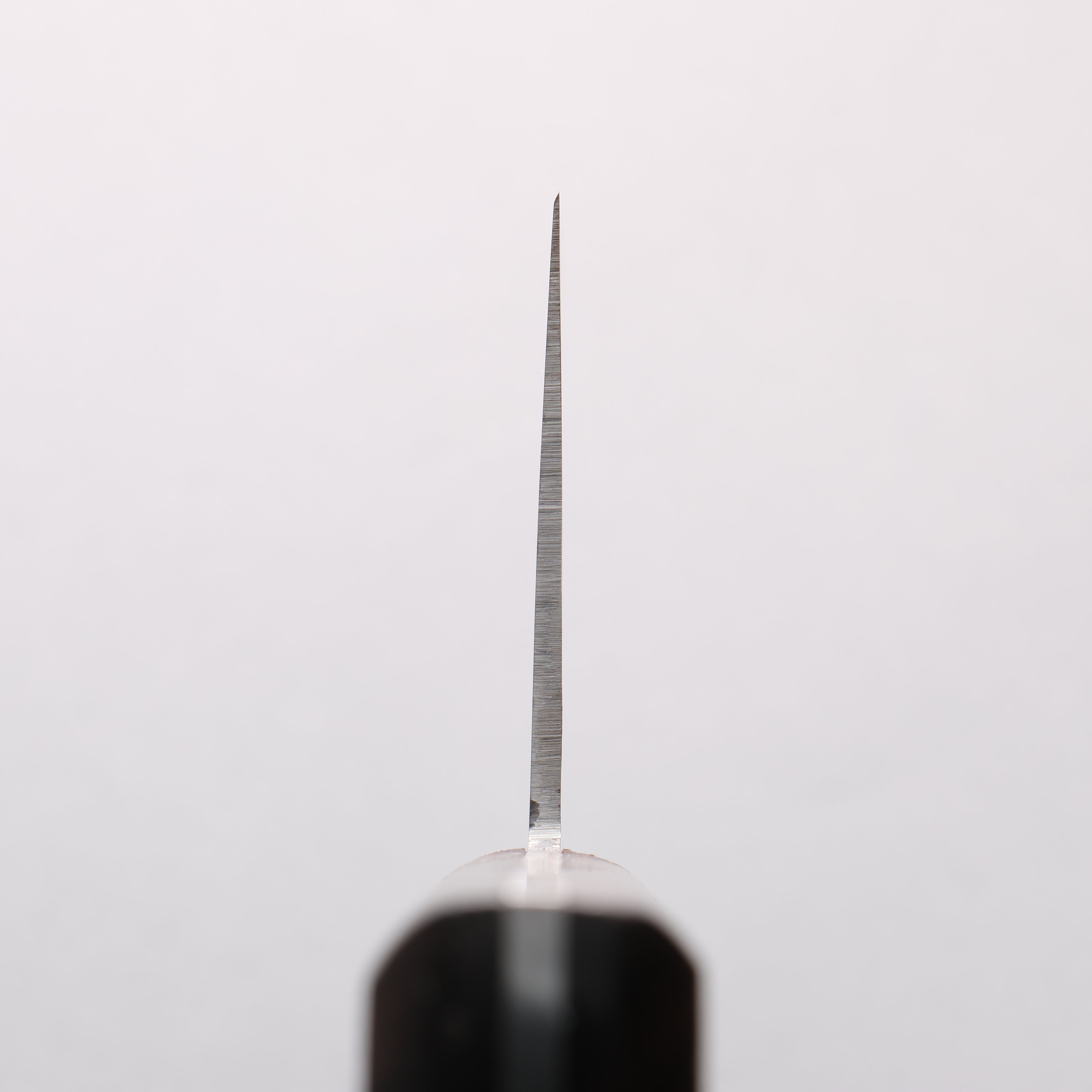 Seisuke Whole steel Chinese Cleaver 220mm Shitan Handle - Japanny - Best Japanese Knife