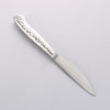 Seisuke Stainless Steel Steak Knife & Fork Set 80mm Stainless Handle Ryujin - Japanny - Best Japanese Knife