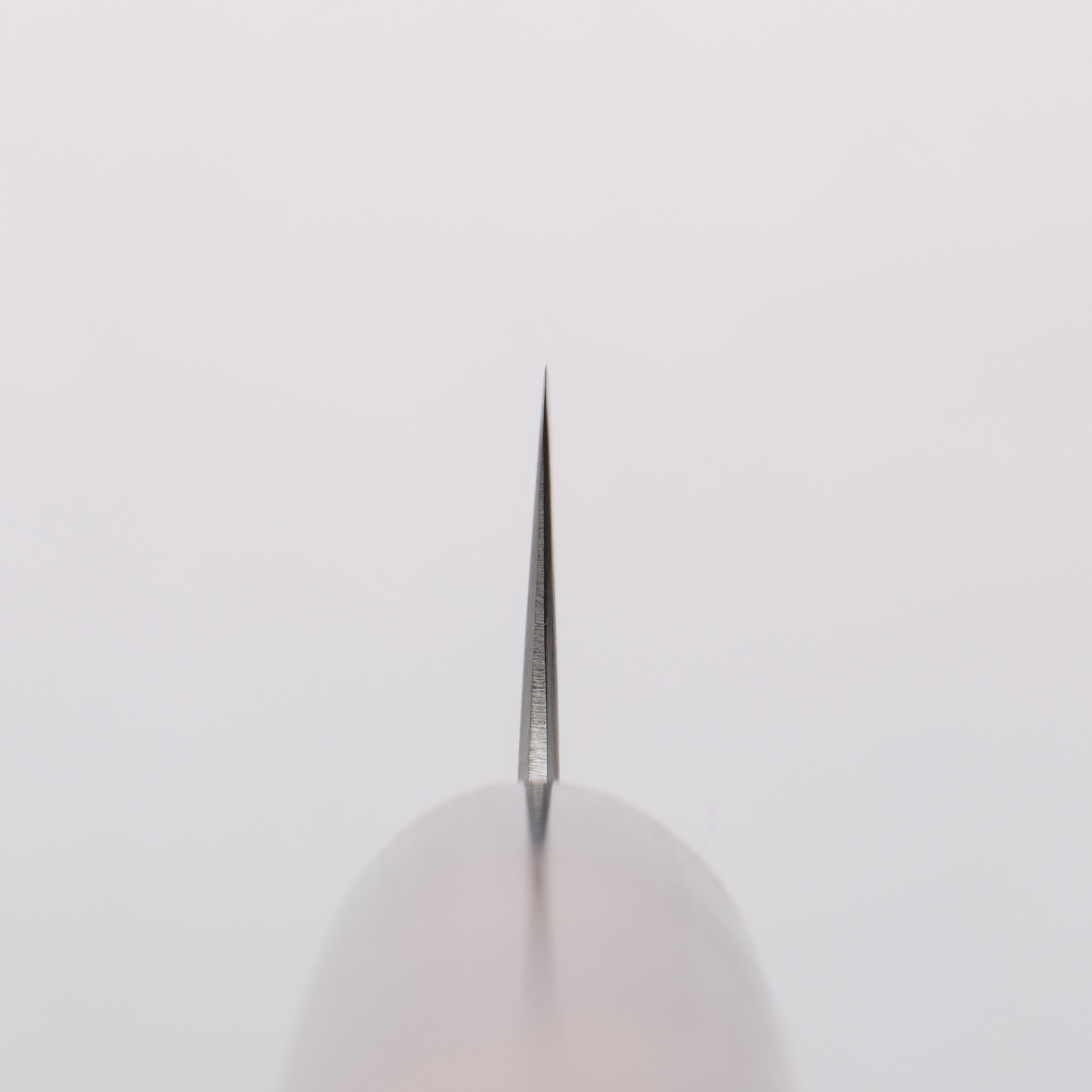 Seisuke Blue Super Sujihiki 240mm Rosewood (Ferrule: Black Pakka Wood) Handle - Japanny - Best Japanese Knife