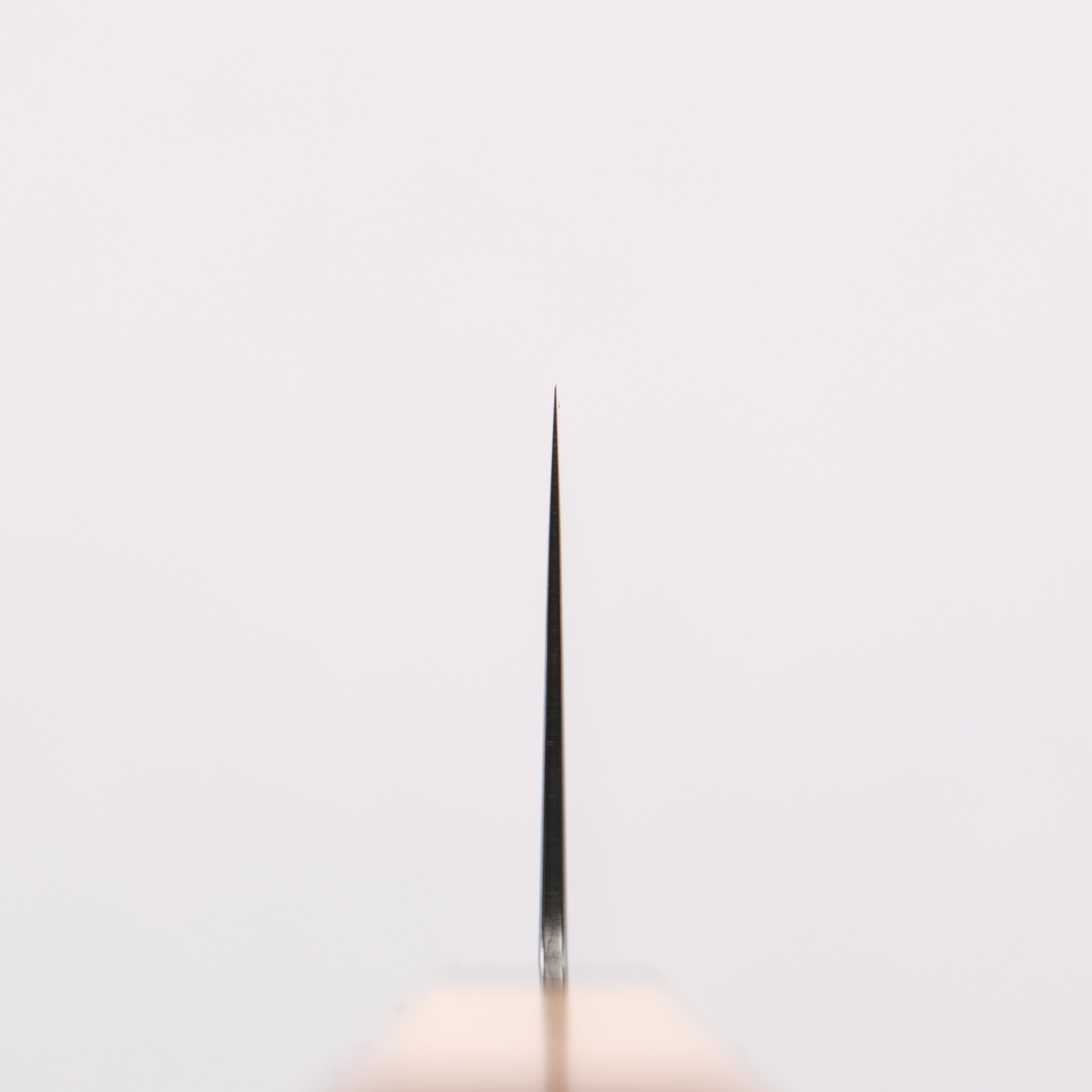 Seisuke VG10 Damascus Migaki Finished Gyuto 210mm Keyaki (Japanese Elm) Handle - Japanny - Best Japanese Knife