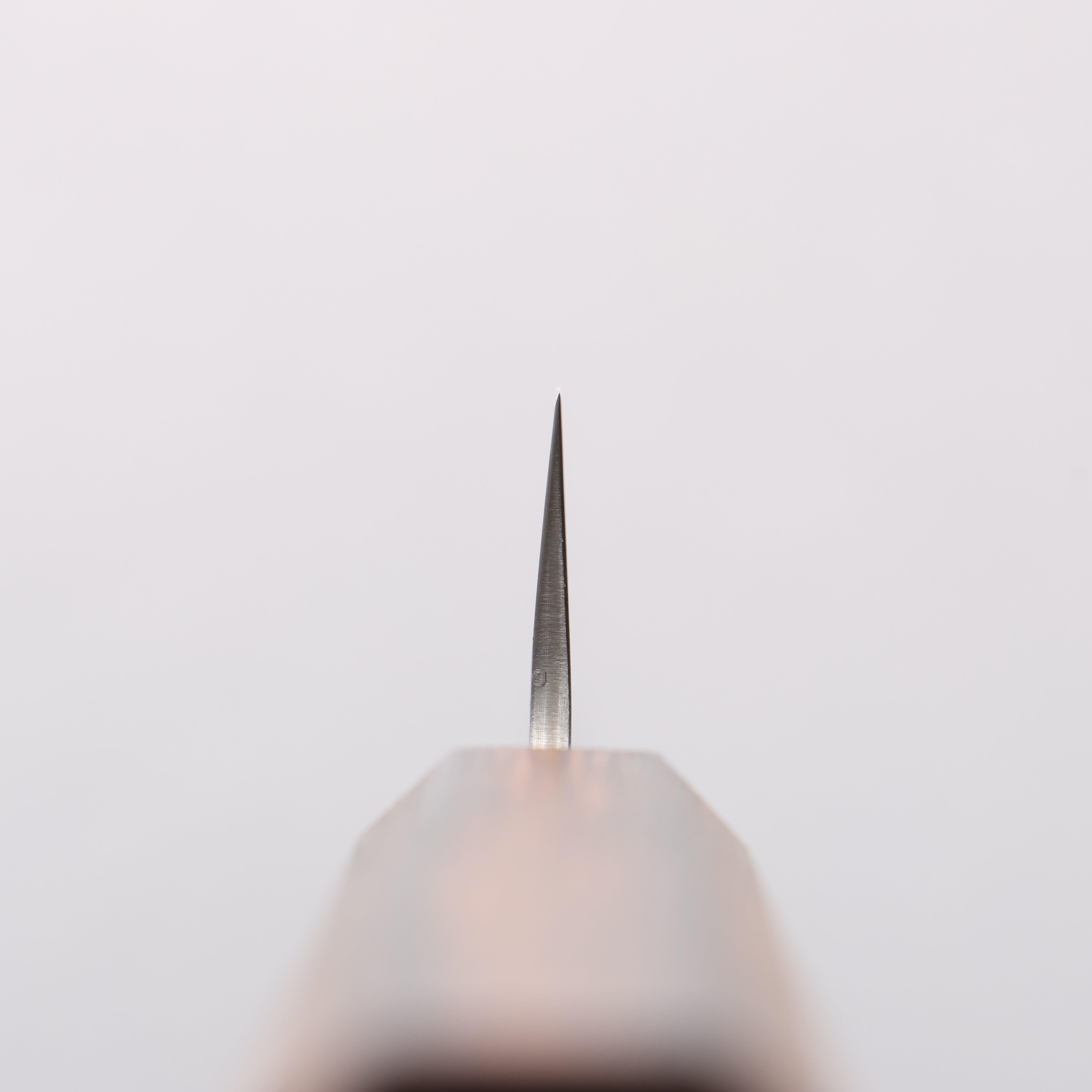 Seisuke Stainless Steel 440C Hammered Damascus Sujihiki 240mm Oak Handle - Japanny - Best Japanese Knife