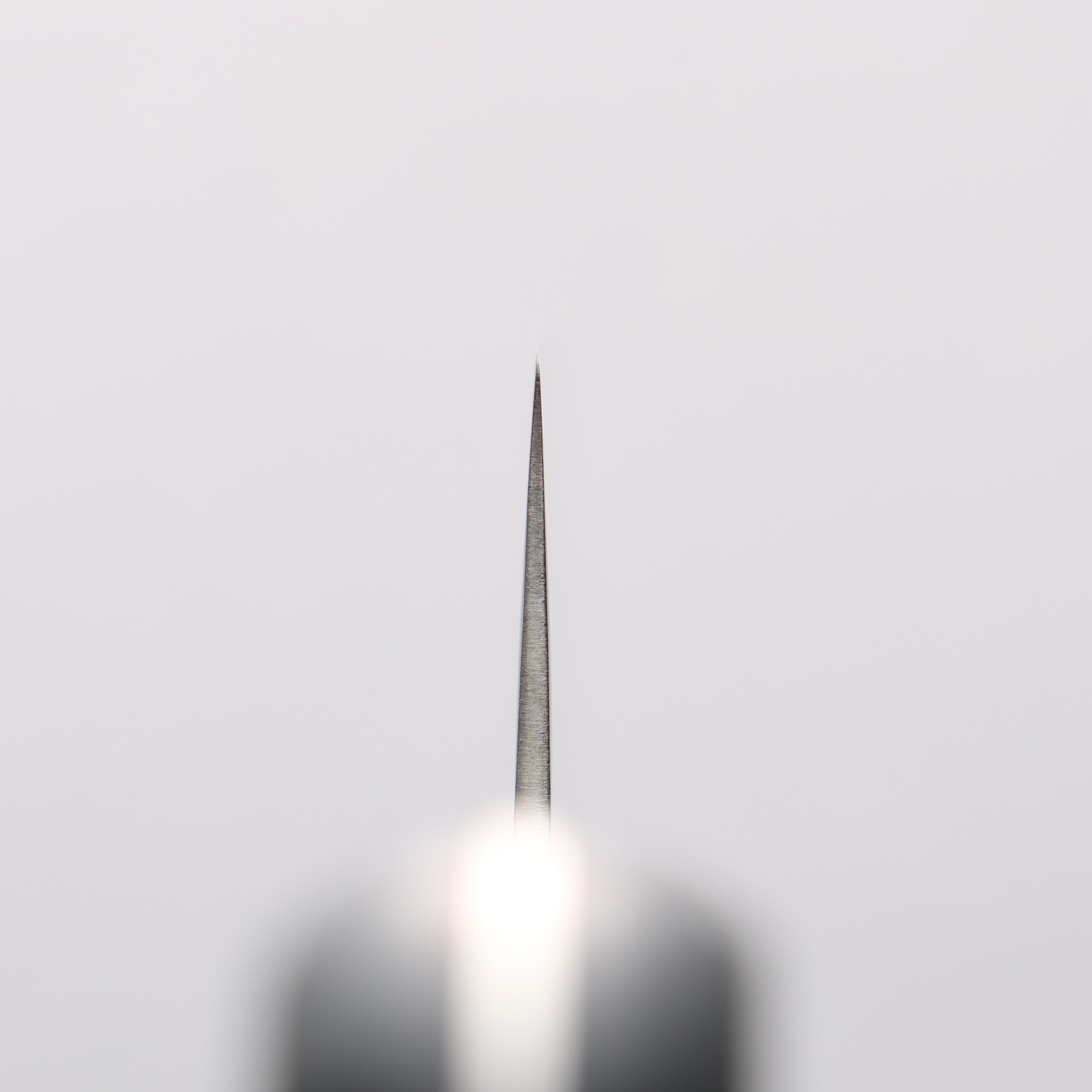 Seisuke Nami AUS10 Mirrored Finish Damascus Sujihiki 240mm Black Pakka wood Handle - Japanny - Best Japanese Knife