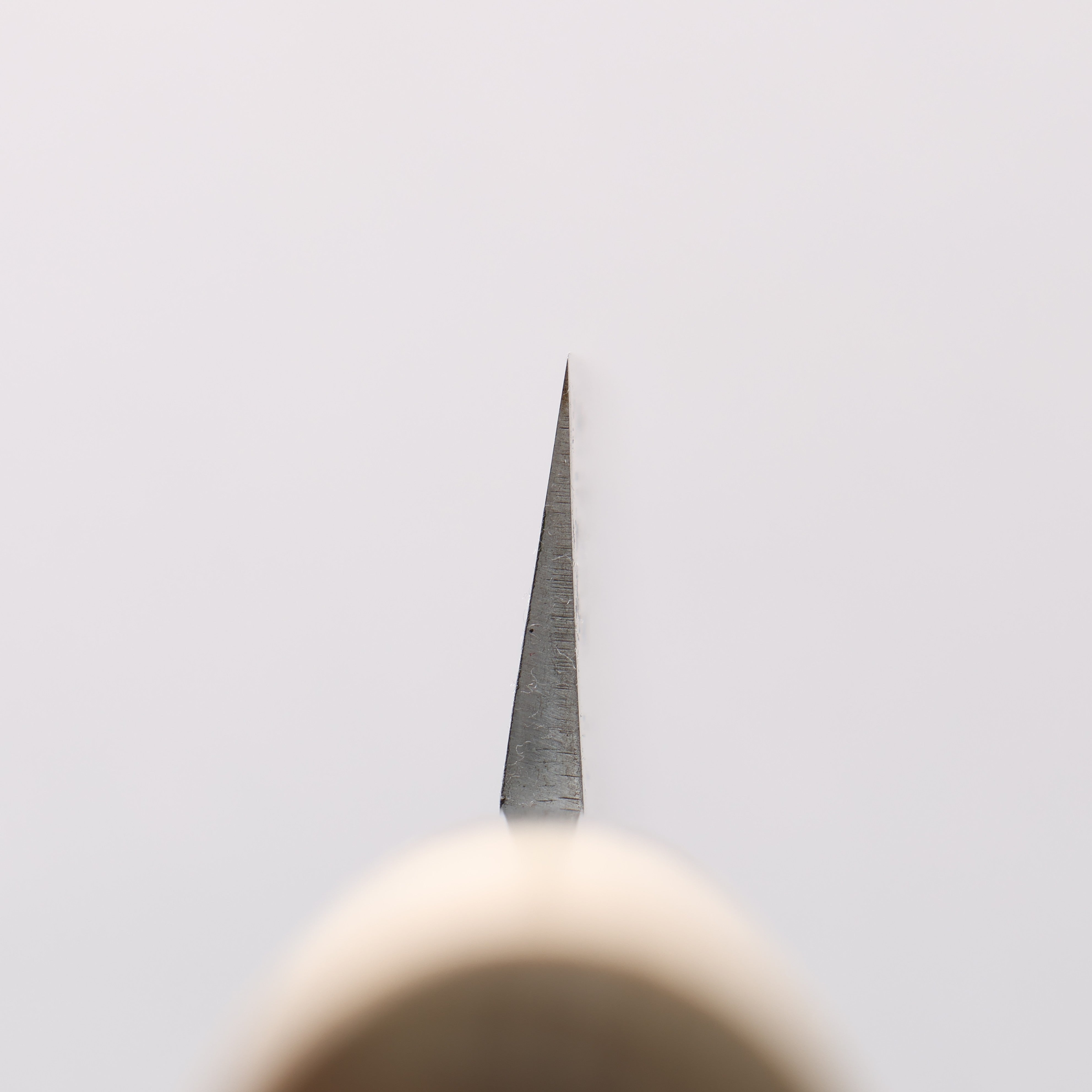 Sakai Takayuki Blue Steel No.2 Eel Knife 165mm - Japanny - Best Japanese Knife