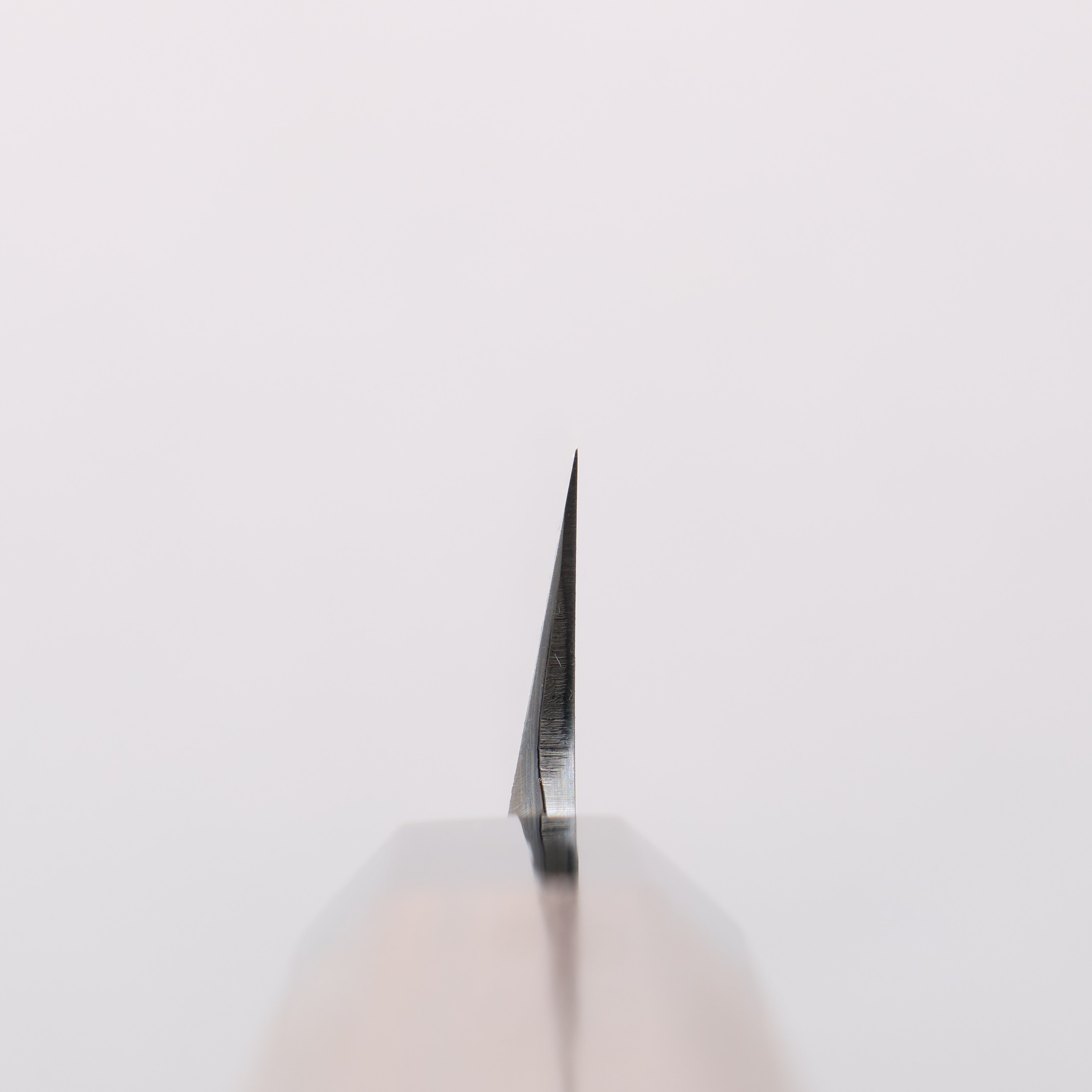 Sakai Takayuki Honyaki White Steel No.2 Yanagiba Wenge with Double Water Buffalo Ring Handle - Japanny - Best Japanese Knife