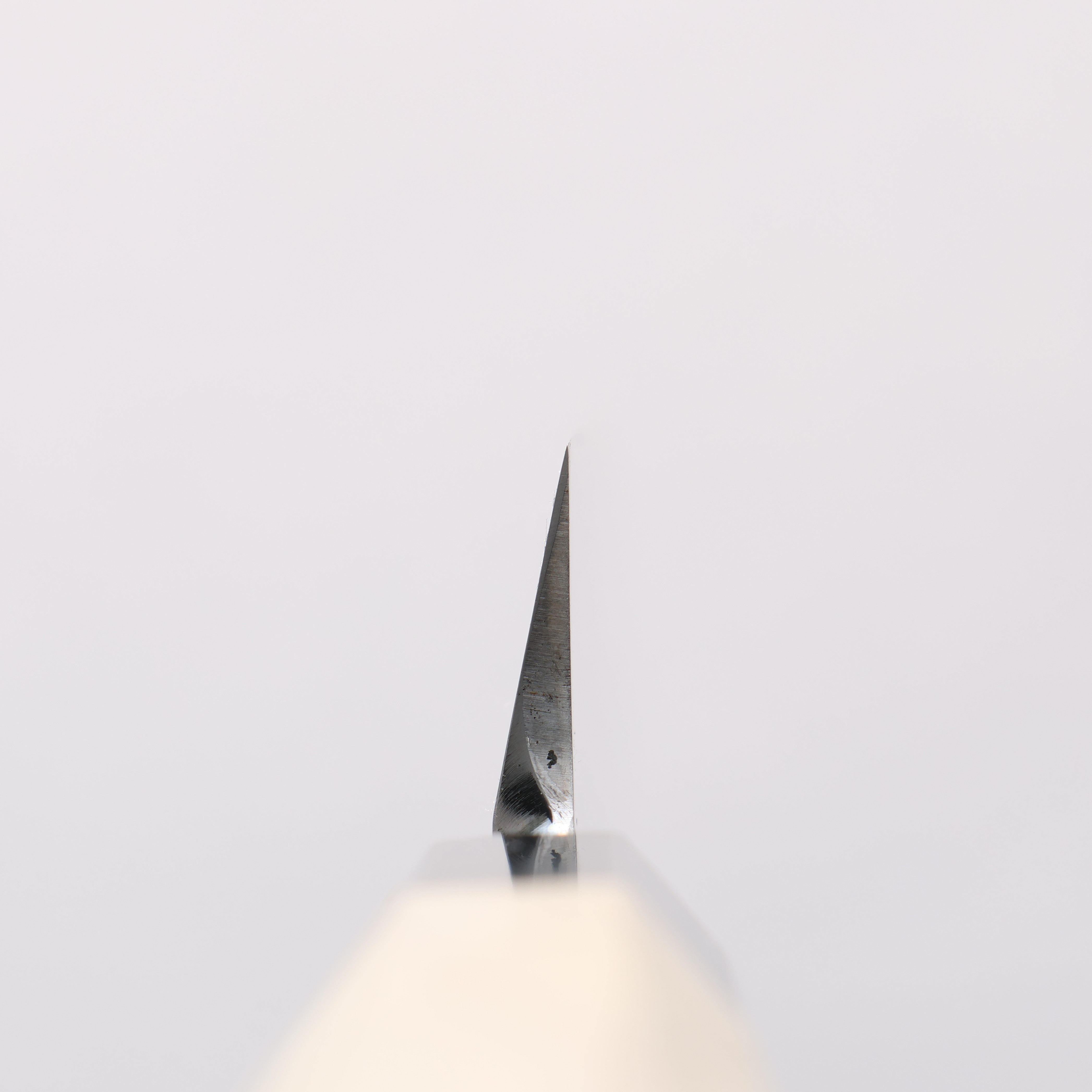 Sakai Takayuki Blue Steel No.2 Mirrored Finish Yanagiba - Japanny - Best Japanese Knife