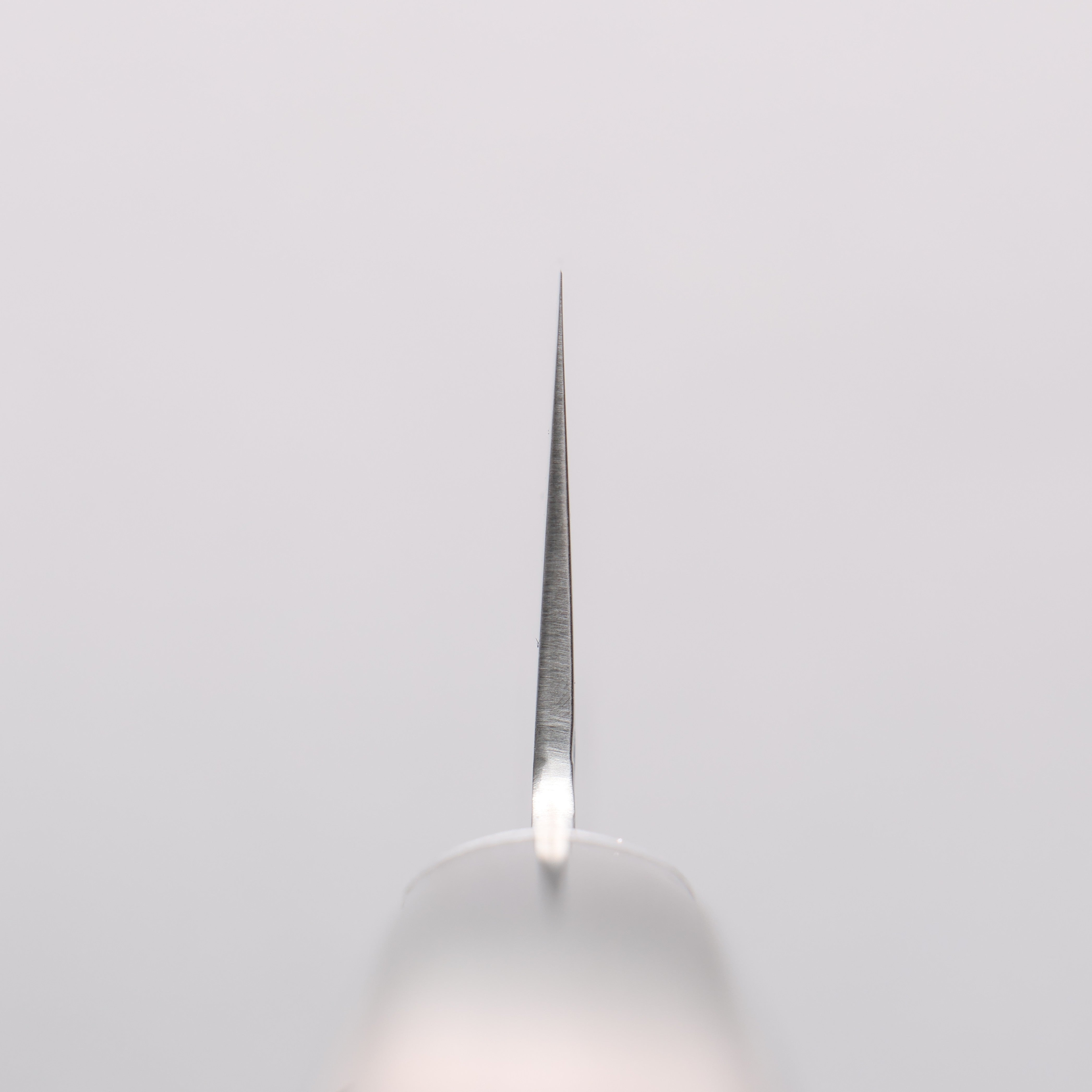 Seisuke VG1 Japanese Santoku & Petty Pakka wood Handle - Japanny - Best Japanese Knife