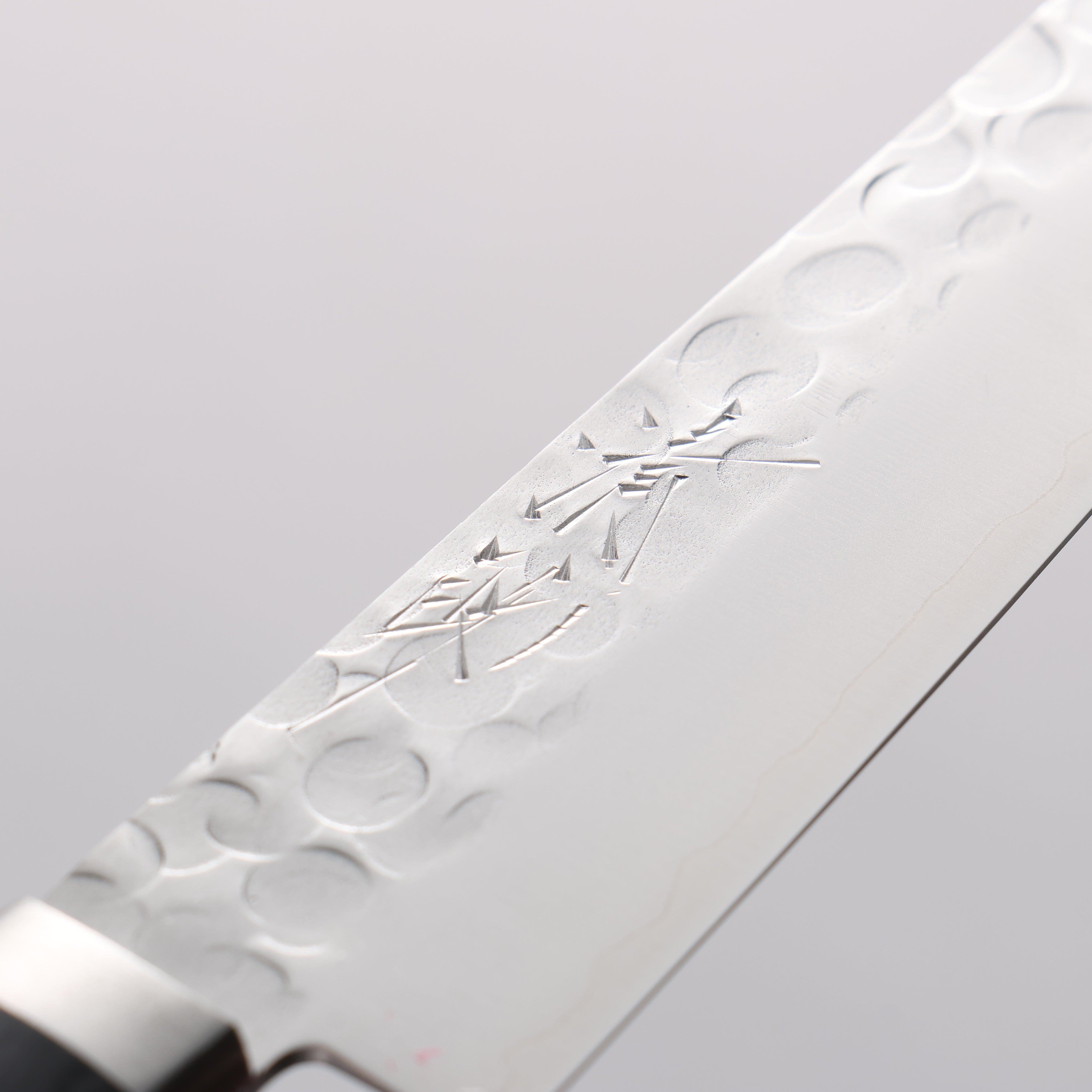 Seisuke VG1 Japanese Santoku & Petty Pakka wood Handle - Japanny - Best Japanese Knife