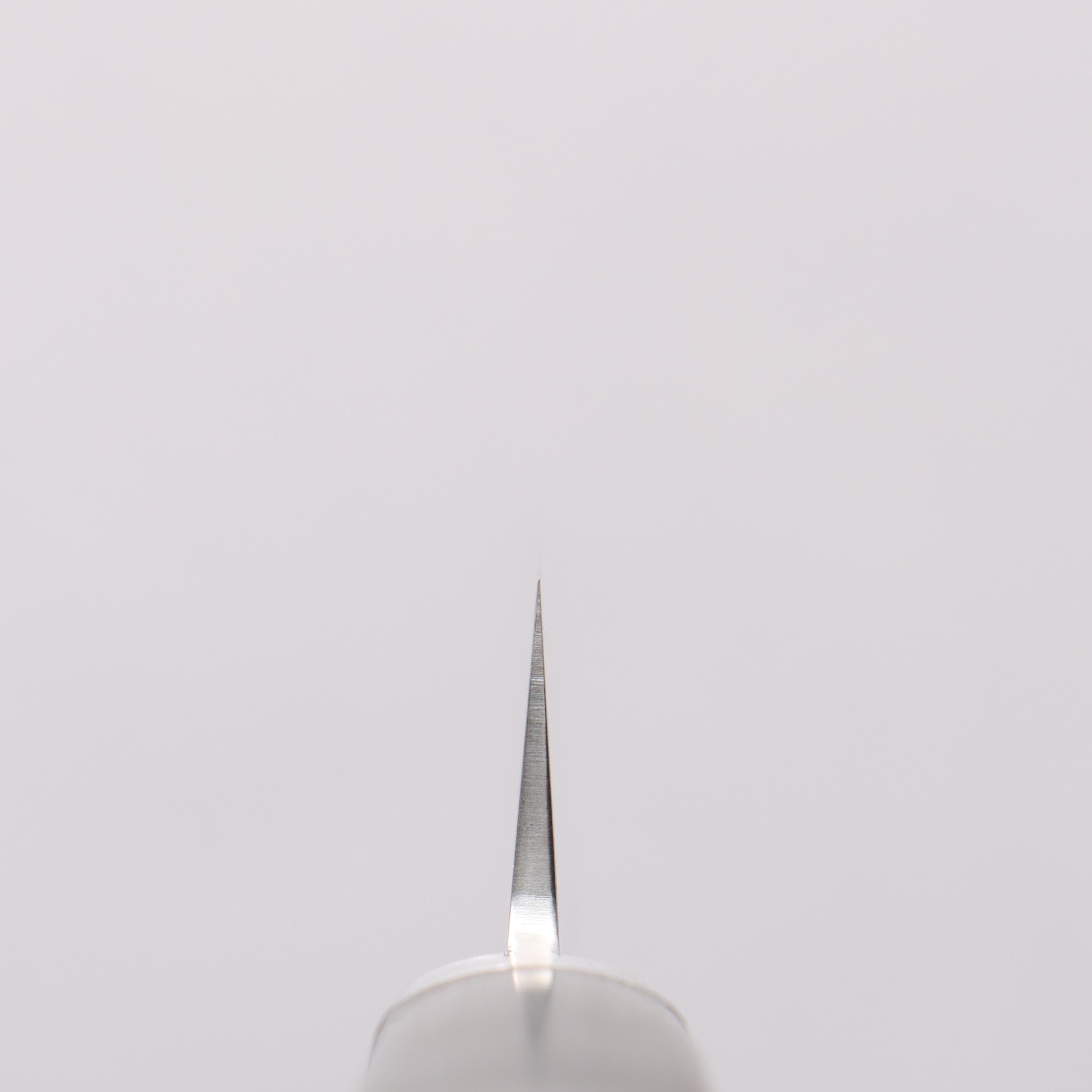 Seisuke VG1 Japanese Santoku & Petty Pakka wood Handle - Japanny - Best Japanese Knife