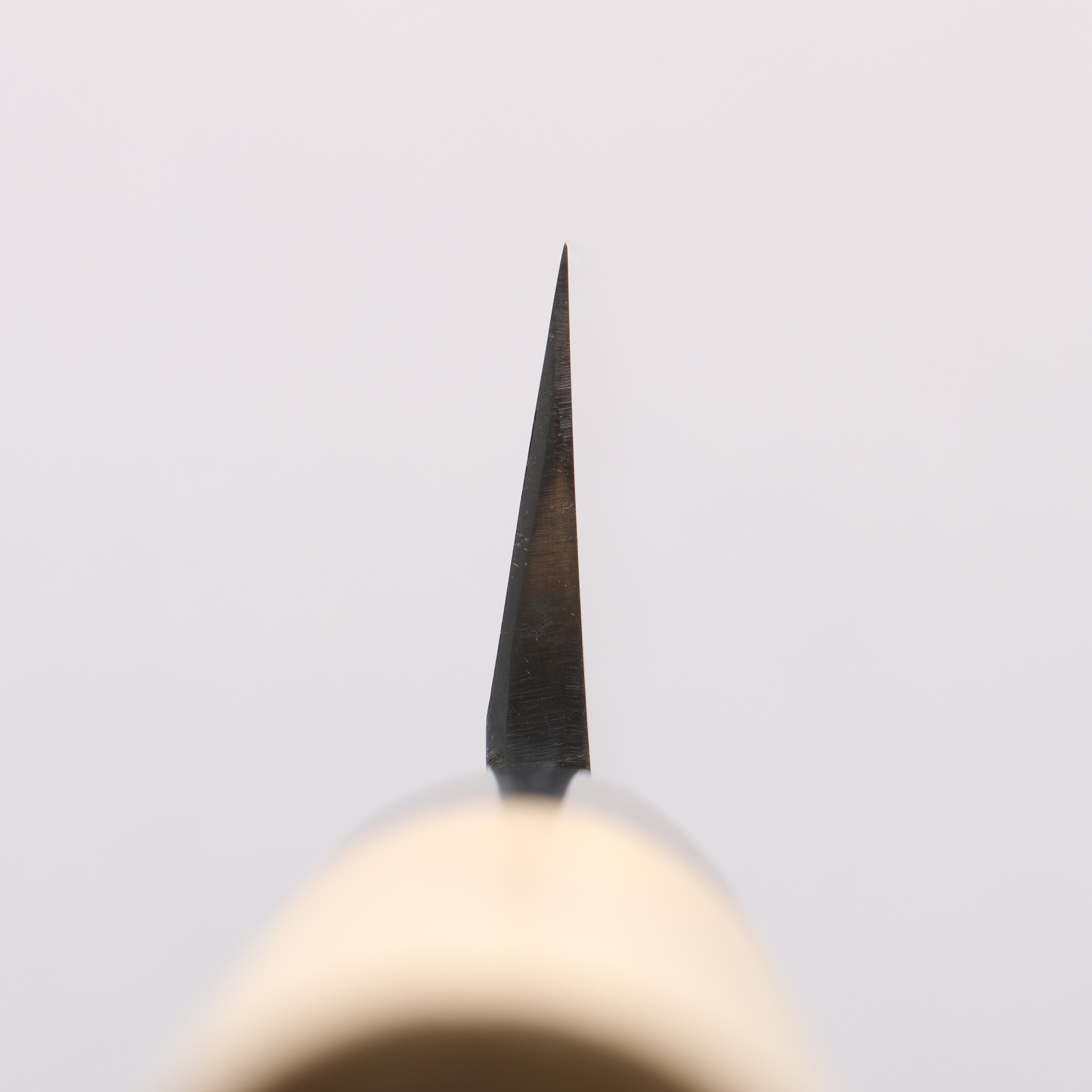 Sakai Takayuki White Steel No.2 Eel Knife 210mm Magnolia Handle - Japanny - Best Japanese Knife