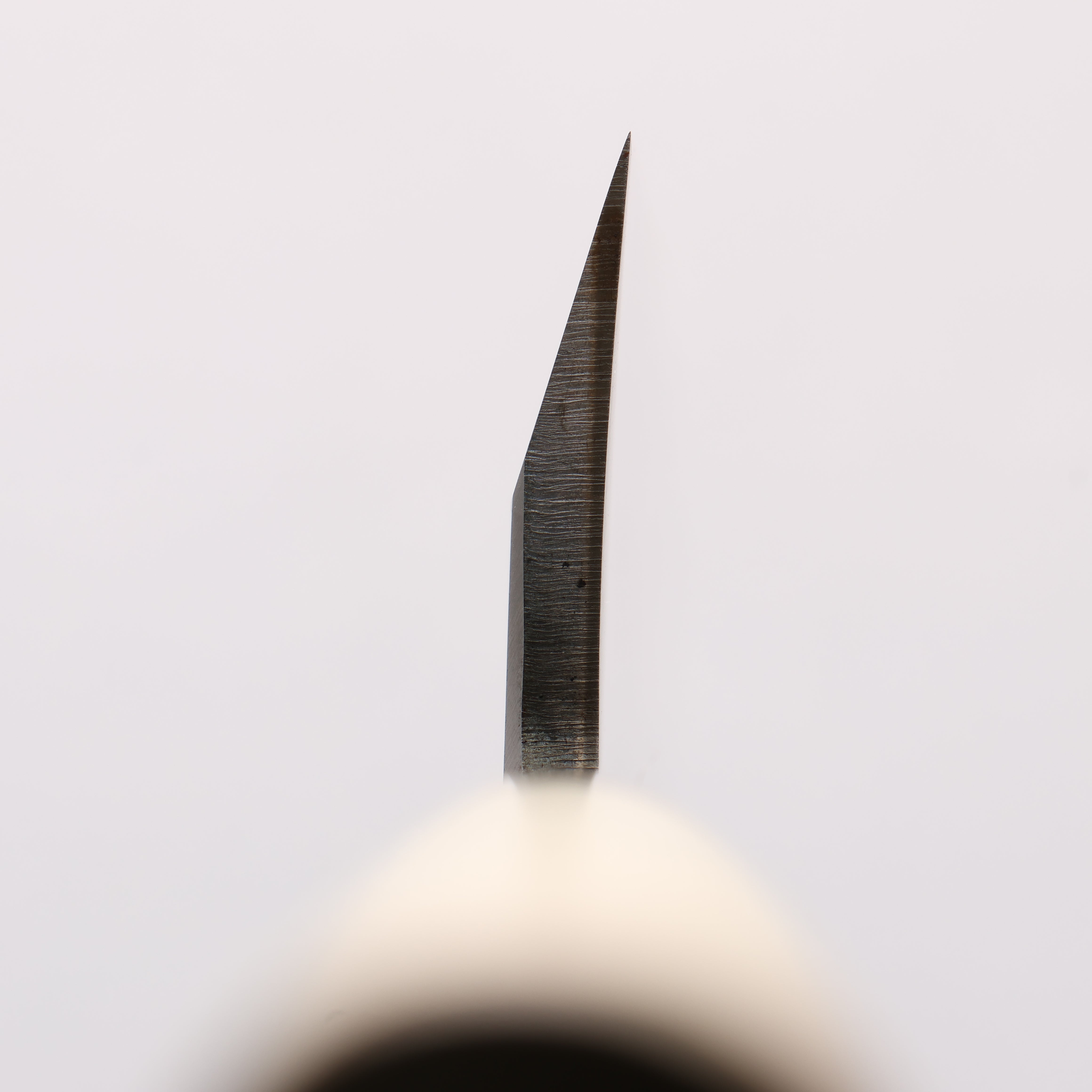 Sakai Takayuki INOX Molybdenum Mioroshi Deba Magnolia Handle - Japanny - Best Japanese Knife