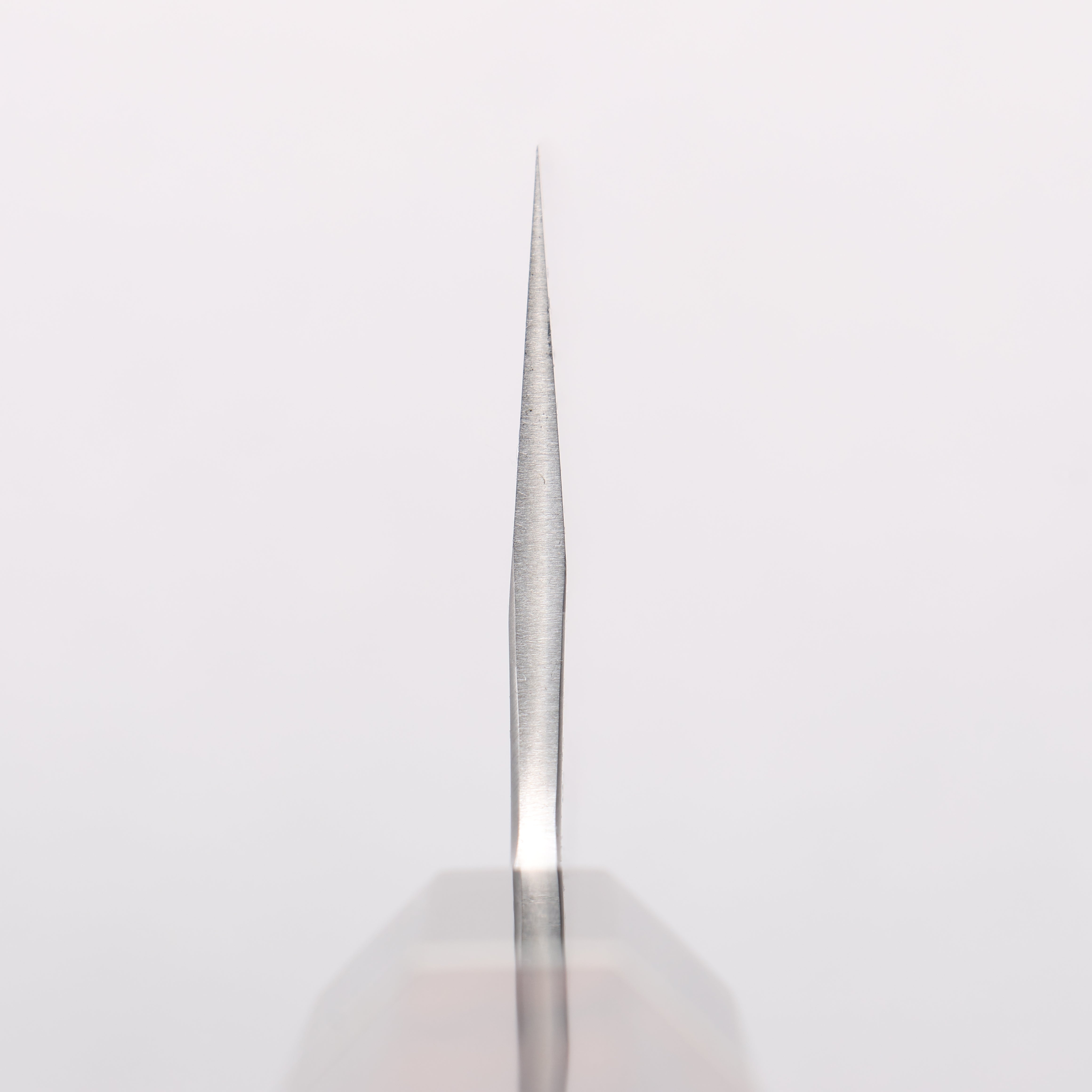 Sakai Takayuki Homura Blue Steel No.2 Kengata Gyuto 225mm Ebony Wood Handle - Japanny - Best Japanese Knife