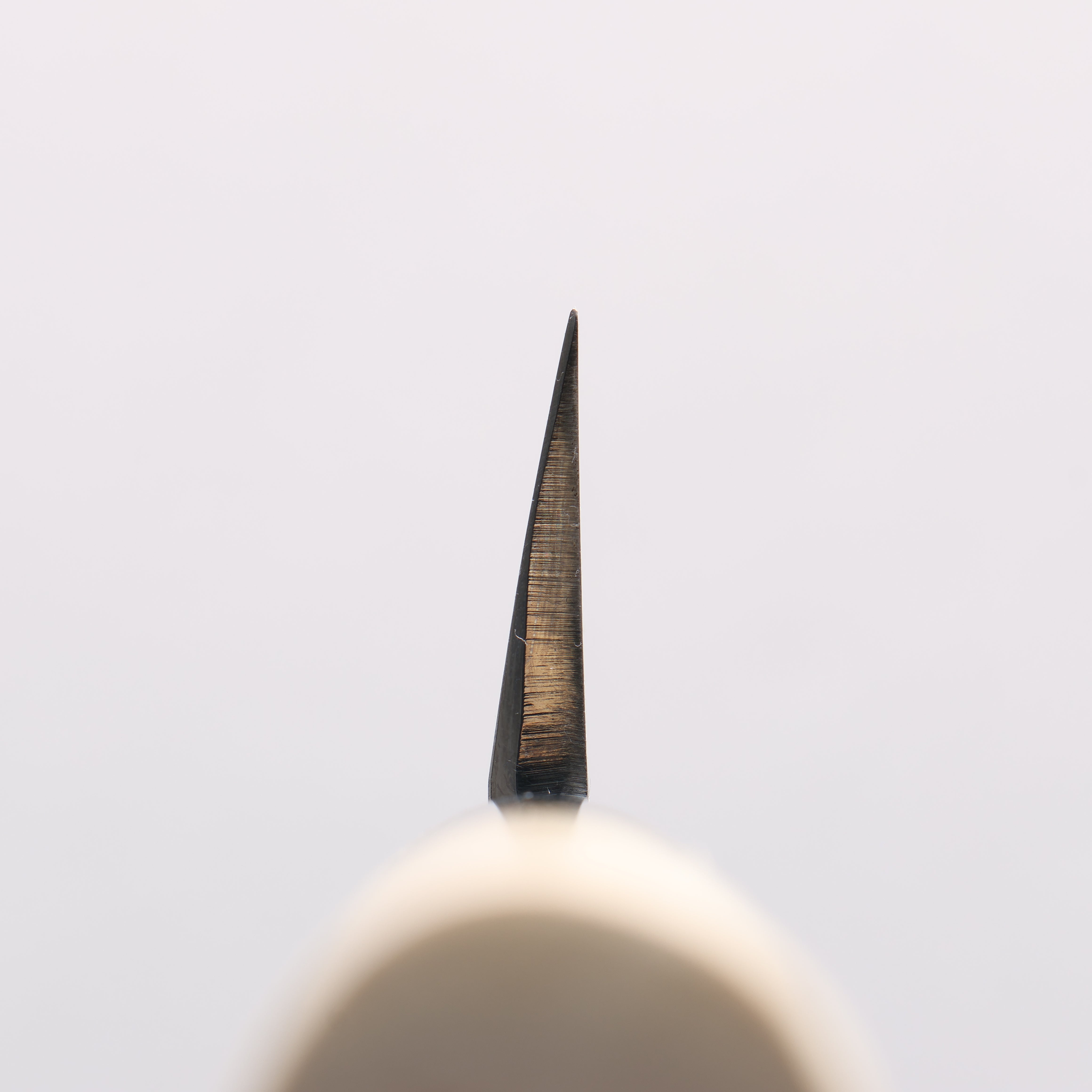 Sakai Takayuki White Steel No.2 Eel Knife 180mm Magnolia Handle - Japanny - Best Japanese Knife