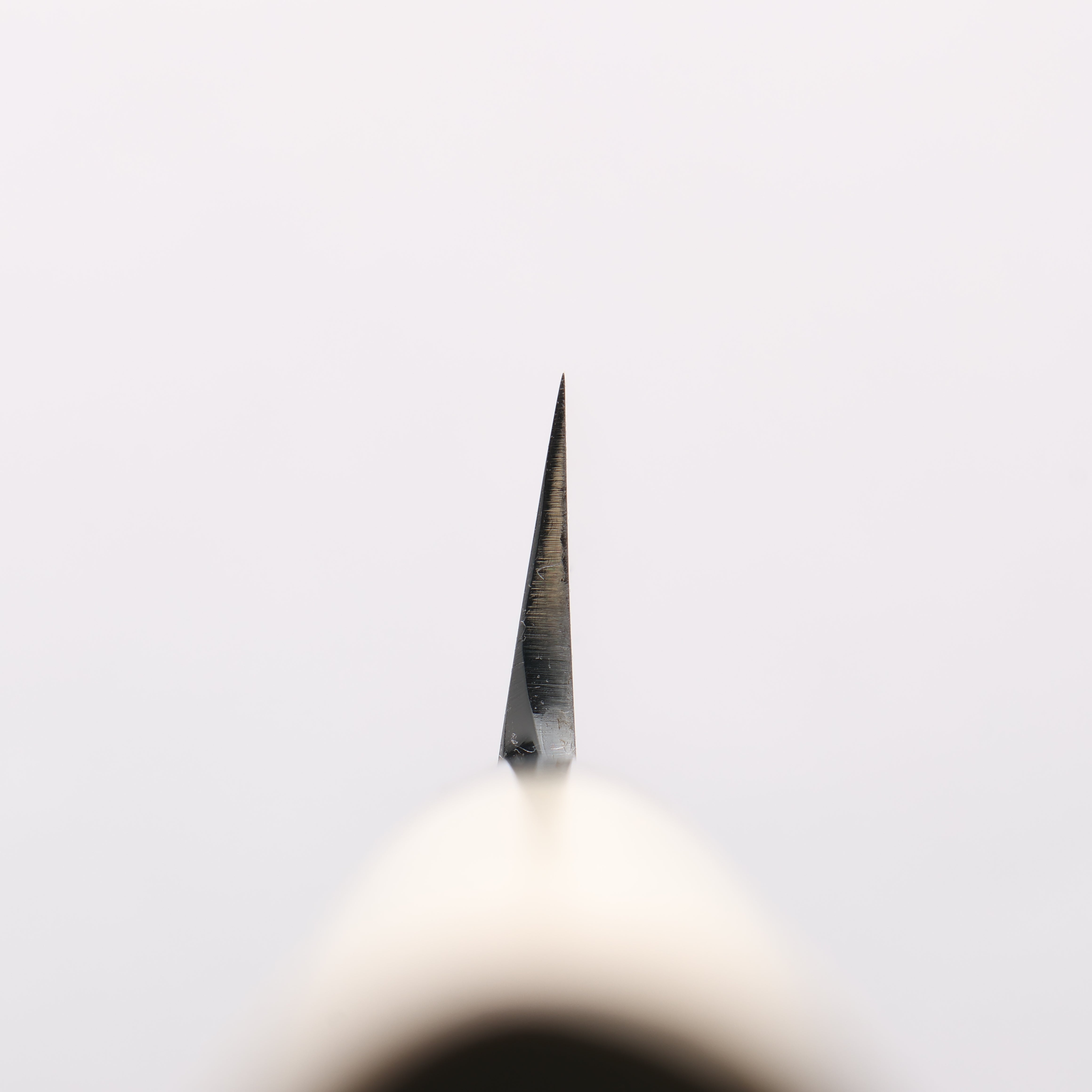 Sakai Takayuki Tokujyo White Steel No.2 Kiritsuke 270mm Magnolia Handle - Japanny - Best Japanese Knife