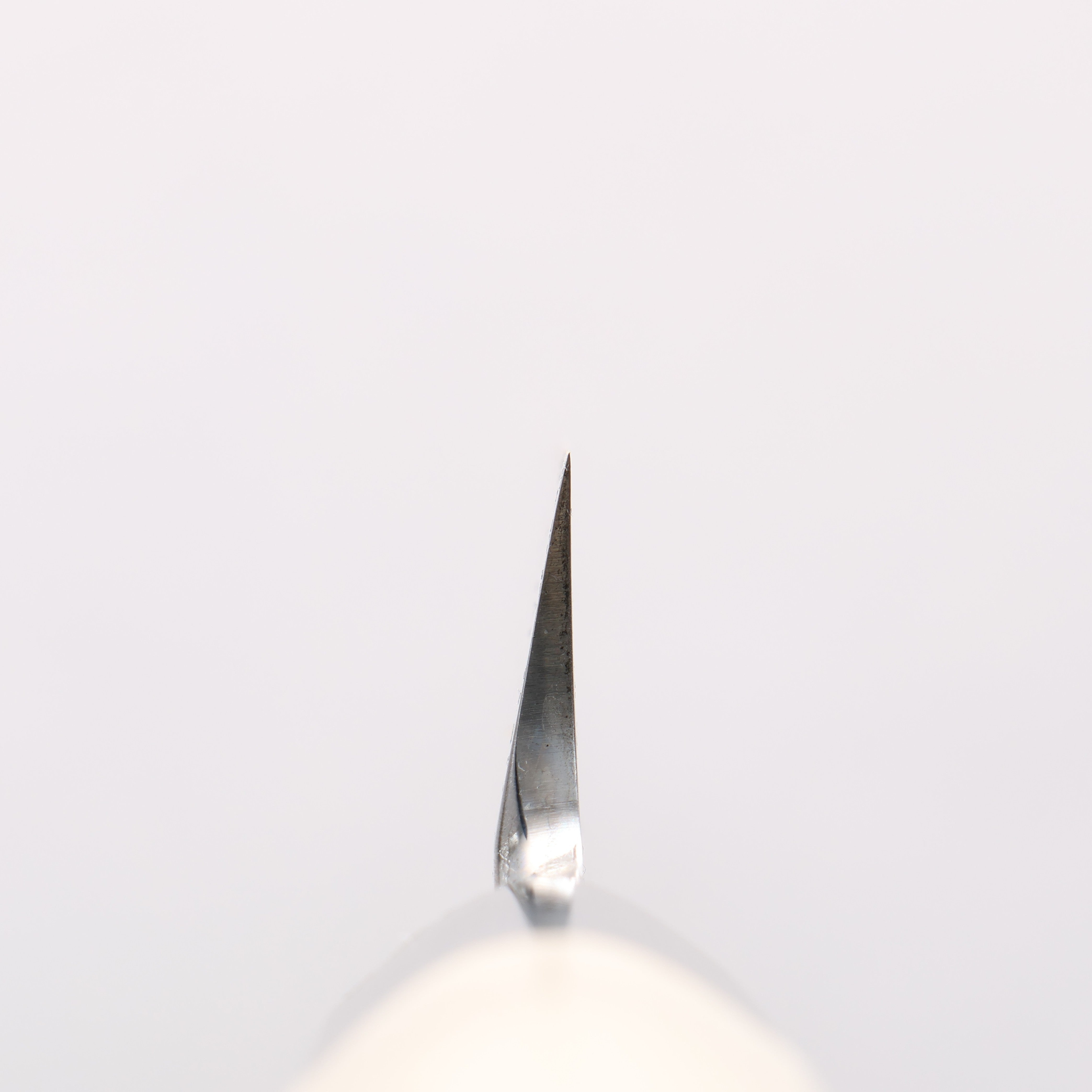 Sakai Takayuki White Steel No.2 Mirrored Finish Yanagiba - Japanny - Best Japanese Knife